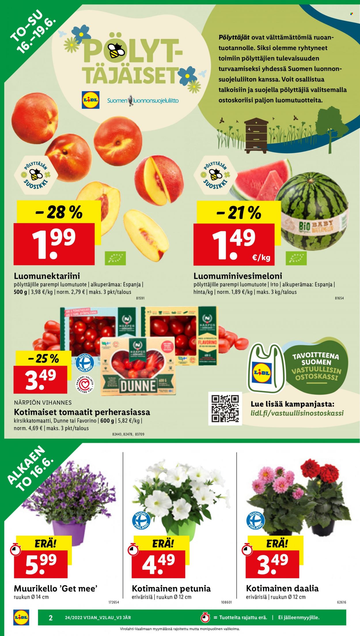 Lidl tarjoukset - 16.06.2022 - 19.06.2022. Sivu 2