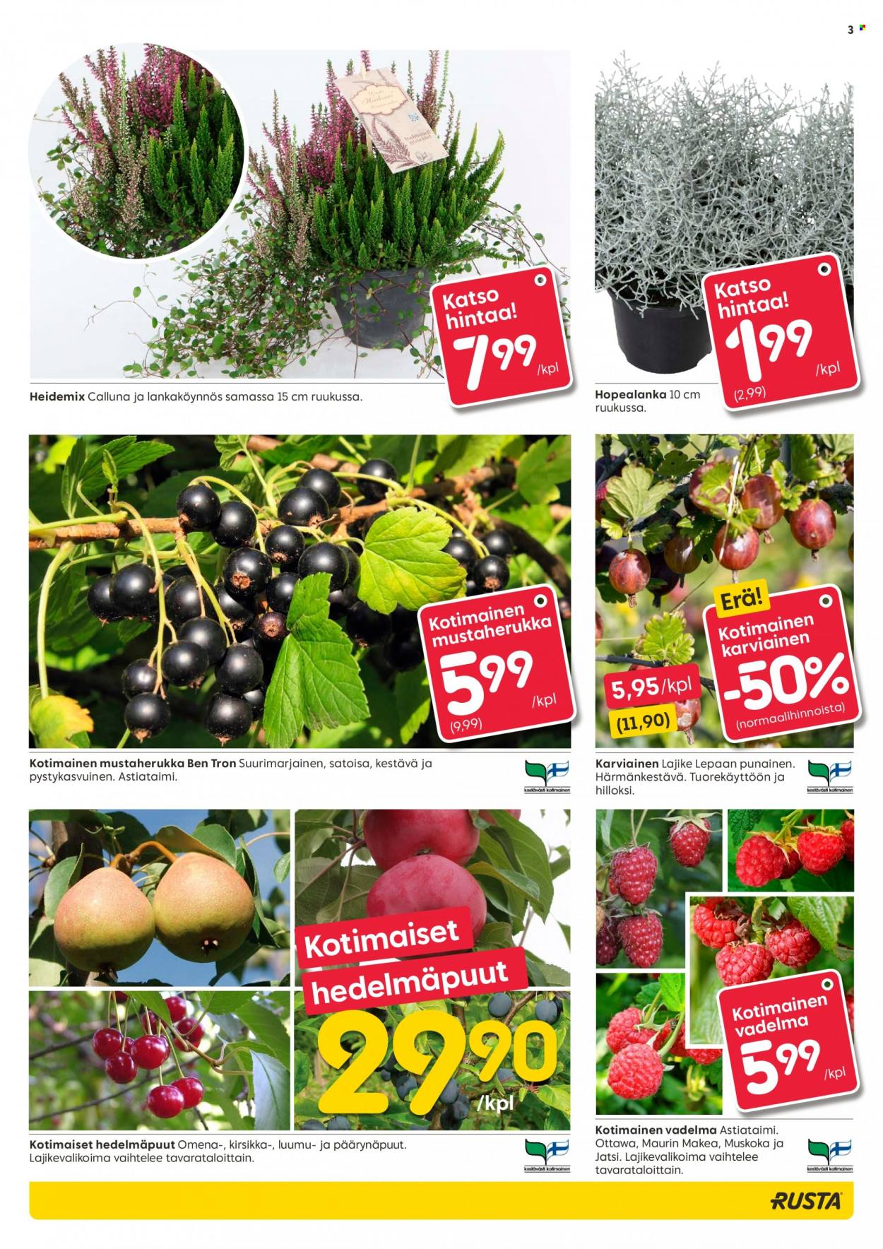 Rusta tarjoukset - 17.08.2022 - 23.08.2022. Sivu 3