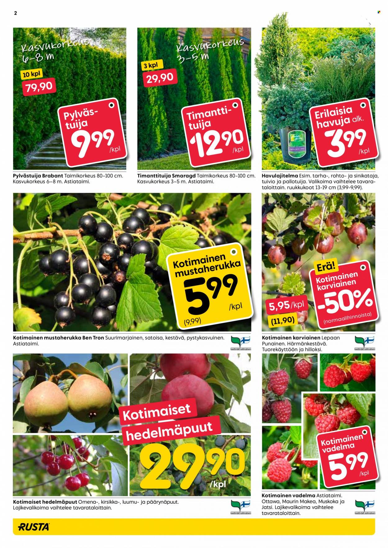 Rusta tarjoukset - 24.08.2022 - 06.09.2022. Sivu 2