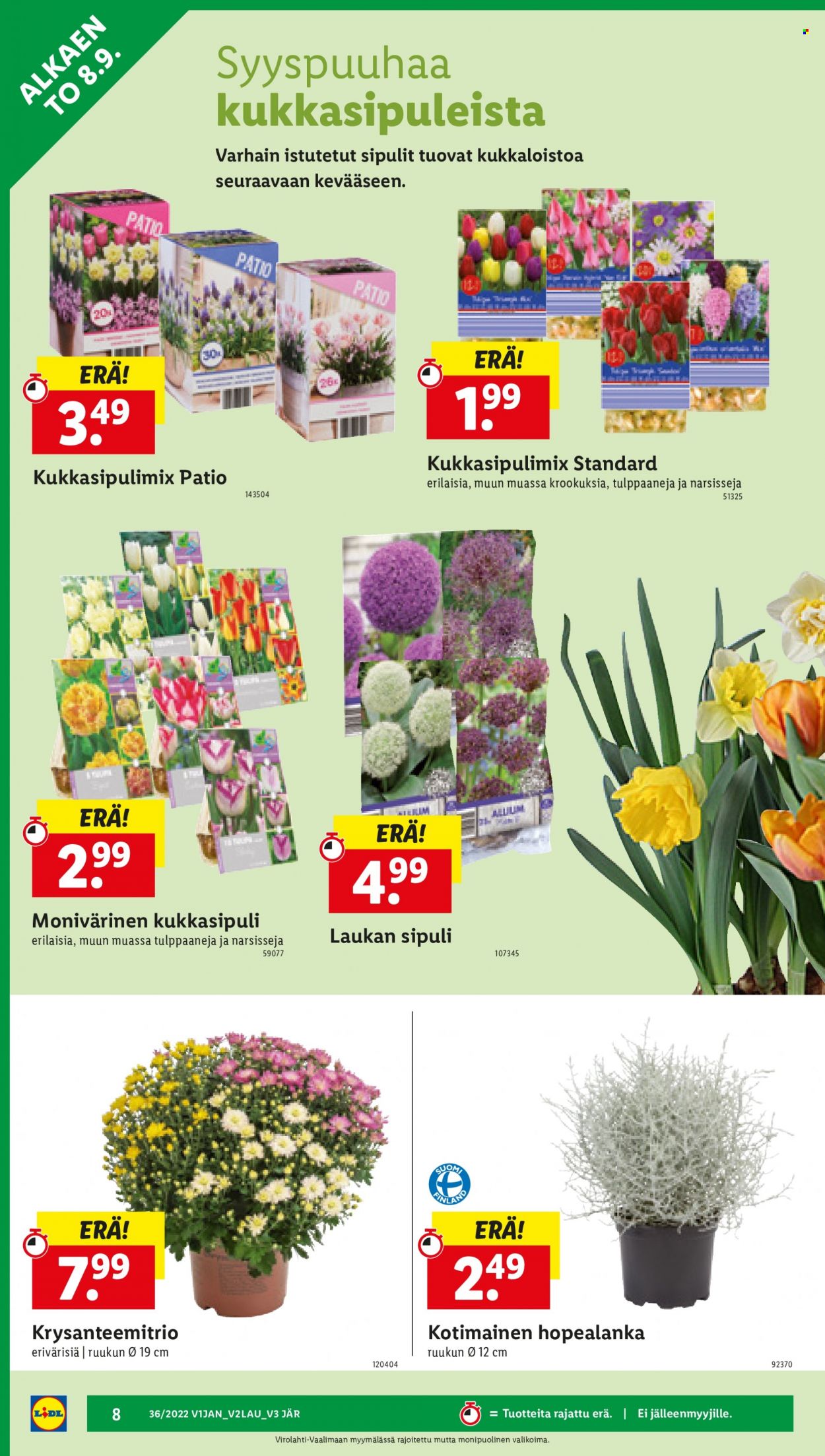 Lidl tarjoukset - 08.09.2022 - 14.09.2022. Sivu 8