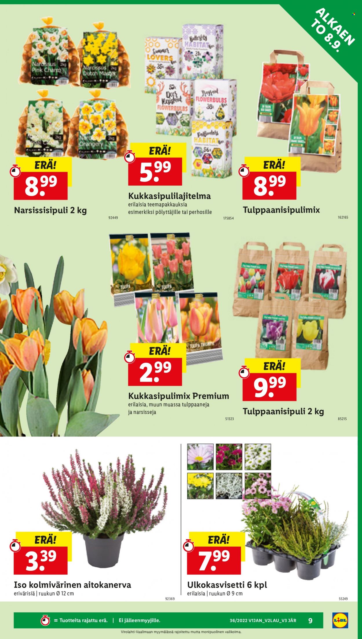 Lidl tarjoukset - 08.09.2022 - 14.09.2022. Sivu 9