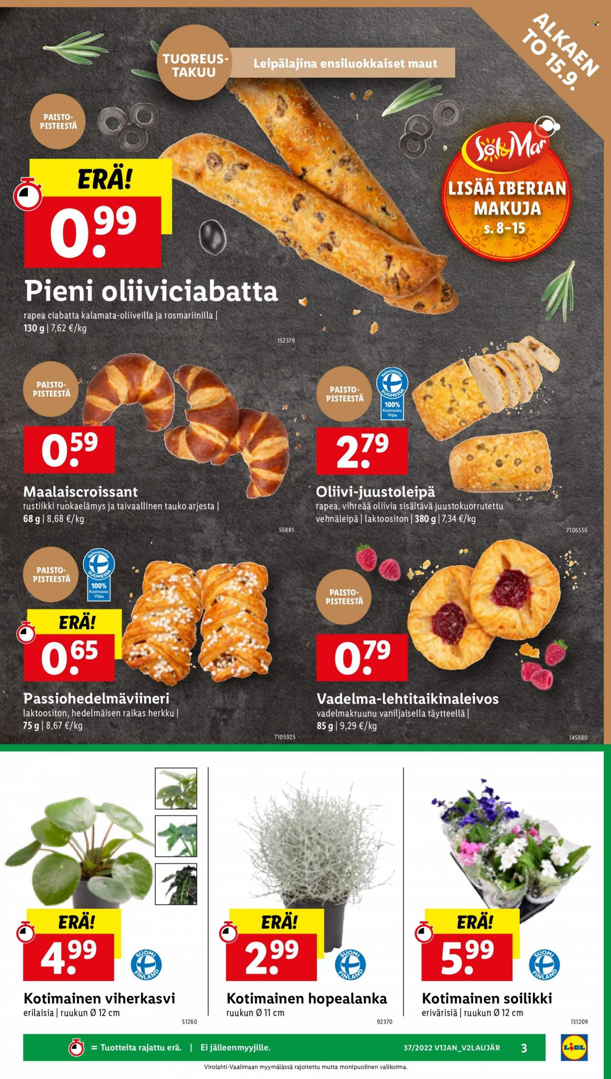 Lidl tarjoukset - 15.09.2022 - 21.09.2022. Sivu 3