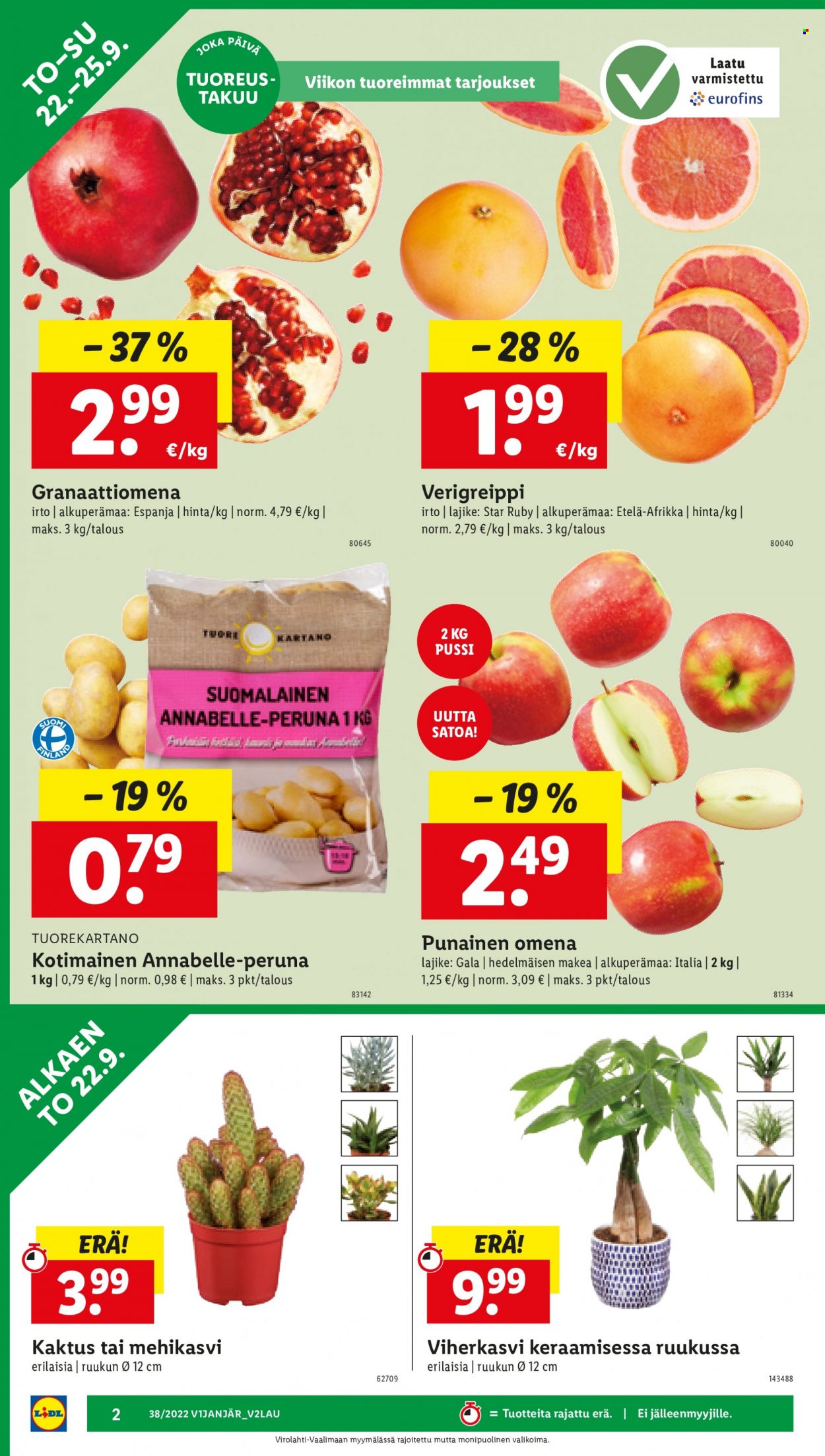 Lidl tarjoukset - 22.09.2022 - 28.09.2022. Sivu 2