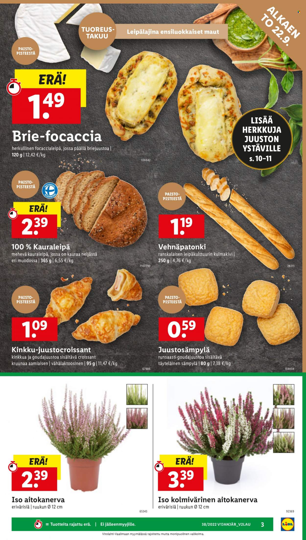 Lidl tarjoukset - 22.09.2022 - 28.09.2022. Sivu 3