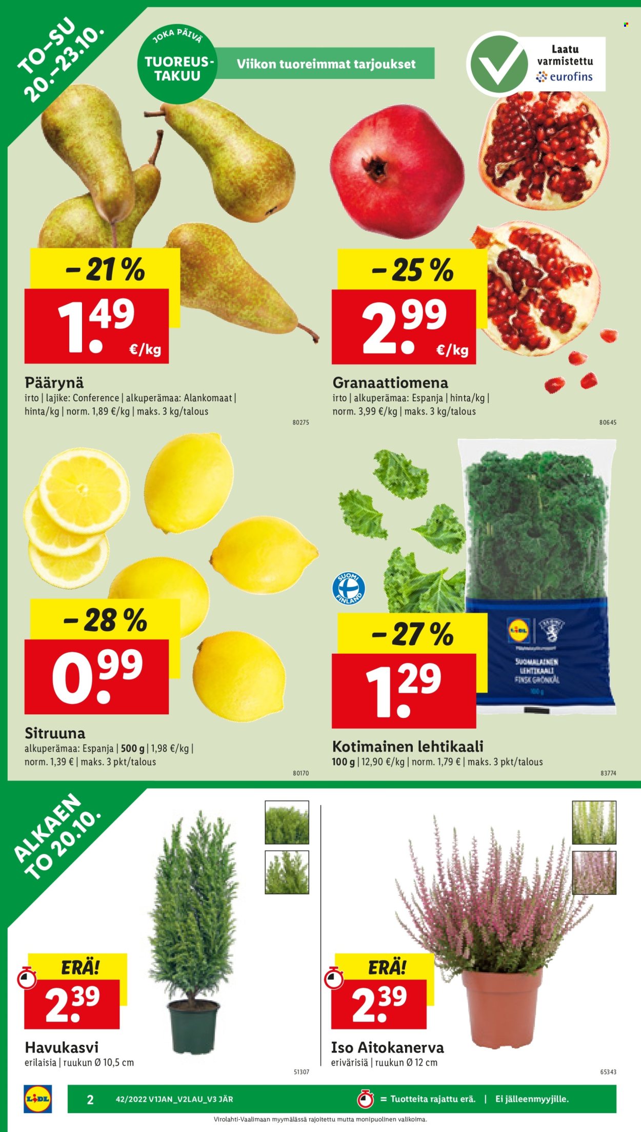 Lidl tarjoukset - 20.10.2022 - 26.10.2022. Sivu 2
