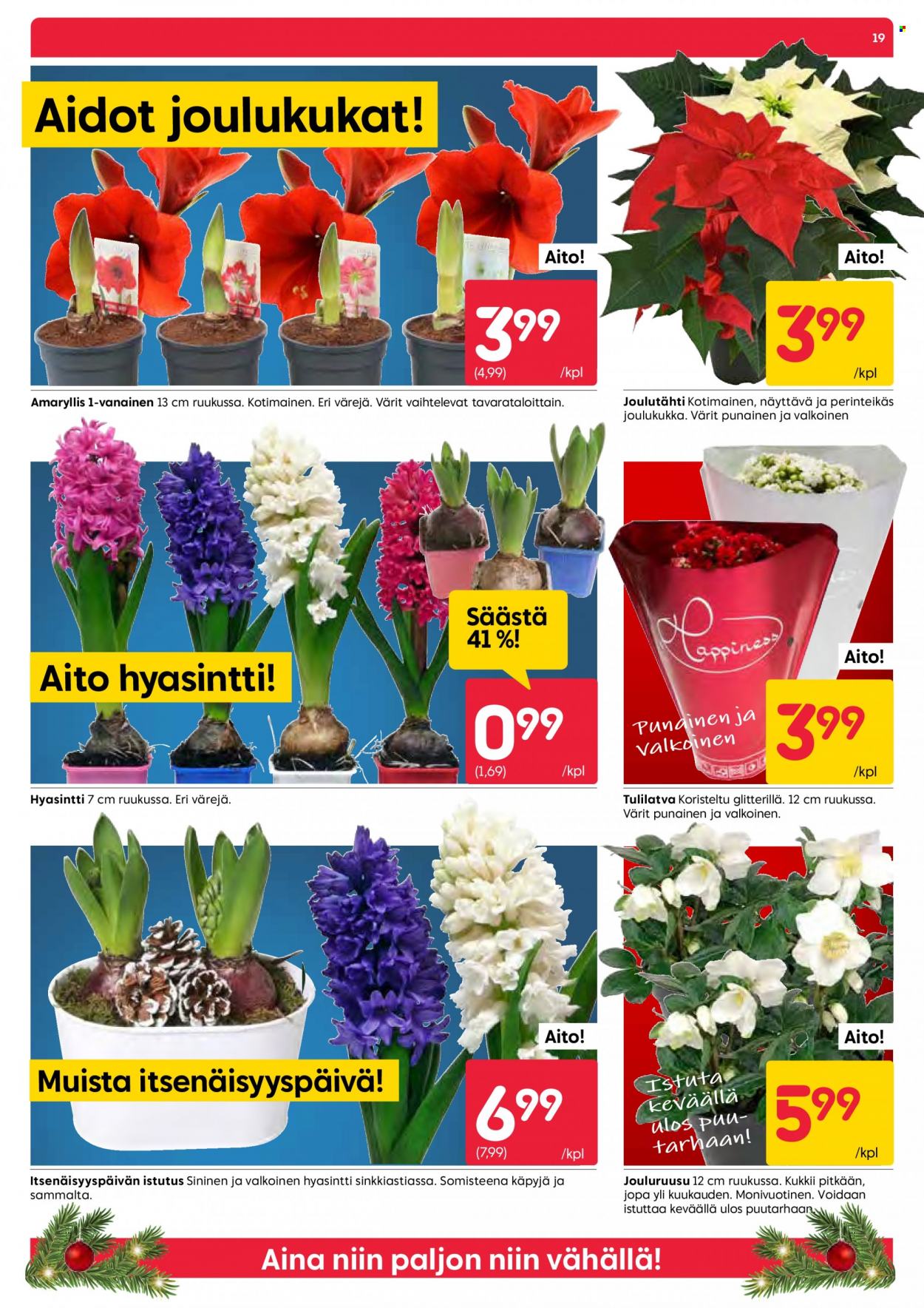 Rusta tarjoukset - 01.12.2022 - 06.12.2022. Sivu 19