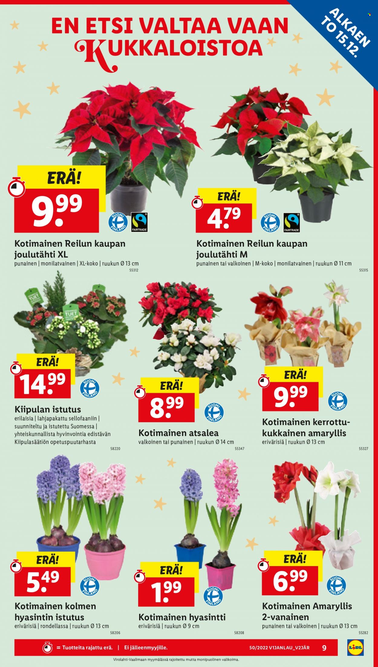 Lidl tarjoukset - 15.12.2022 - 18.12.2022. Sivu 9