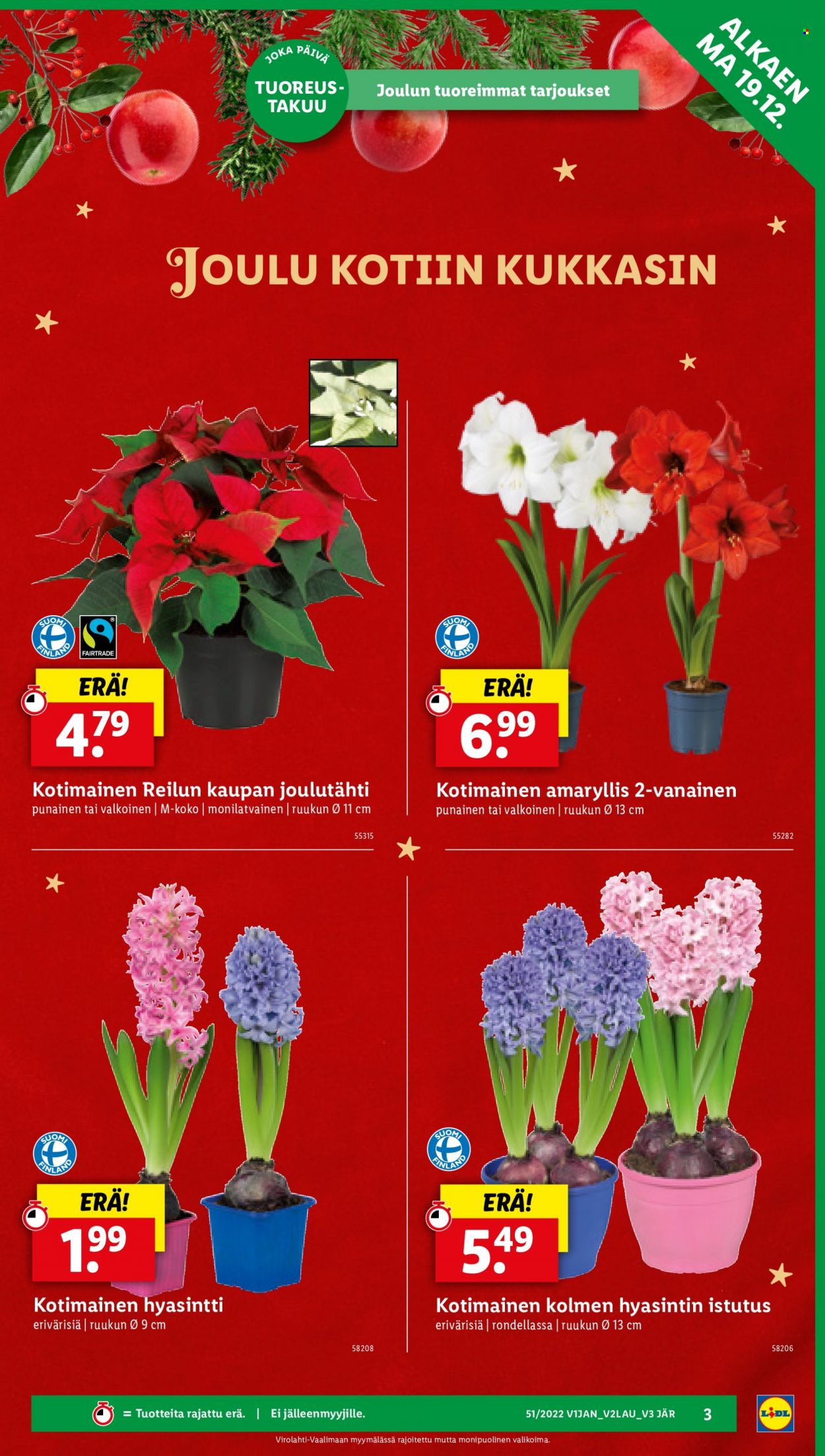 Lidl tarjoukset - 19.12.2022 - 27.12.2022. Sivu 3