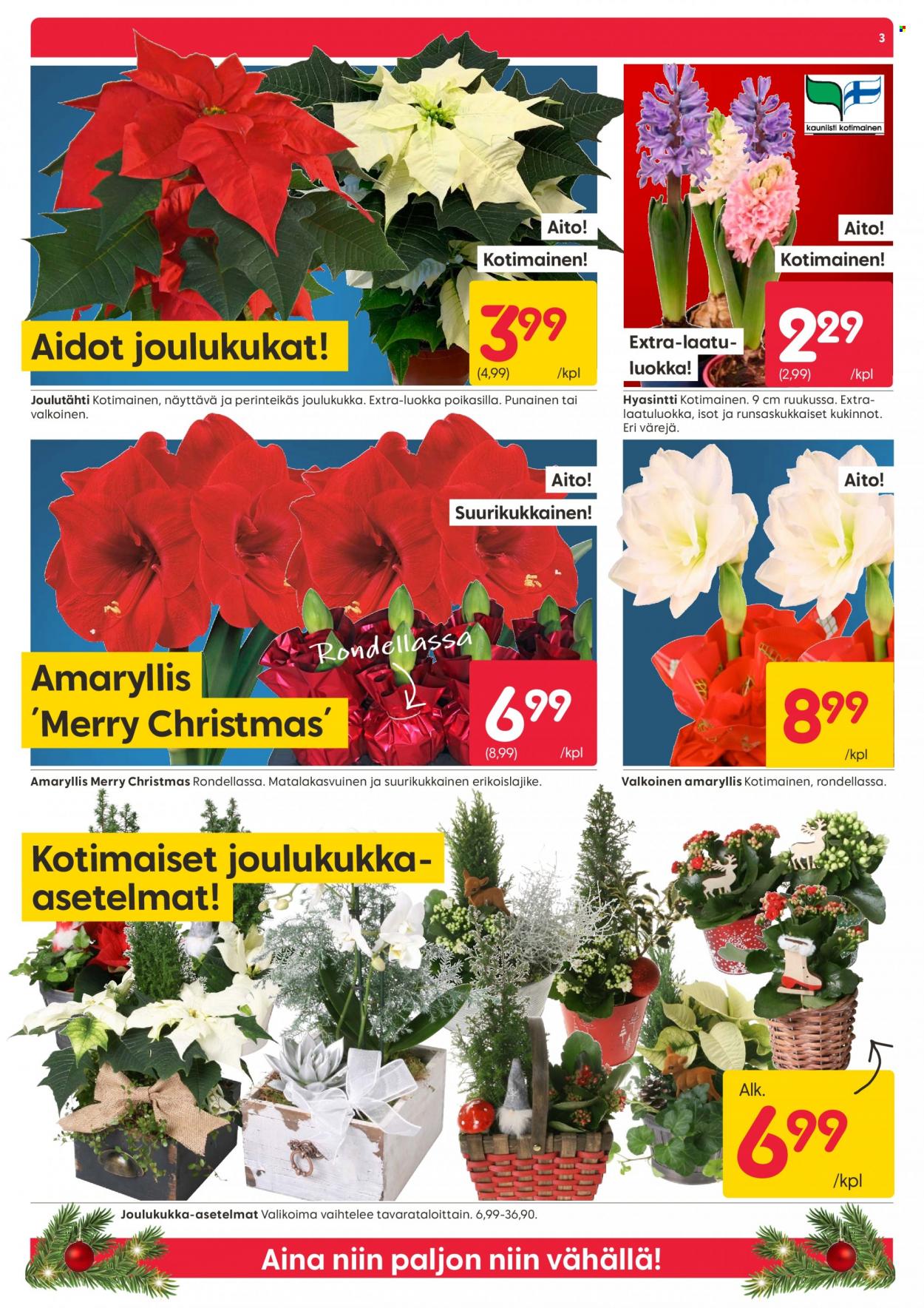 Rusta tarjoukset - 19.12.2022 - 24.12.2022. Sivu 3