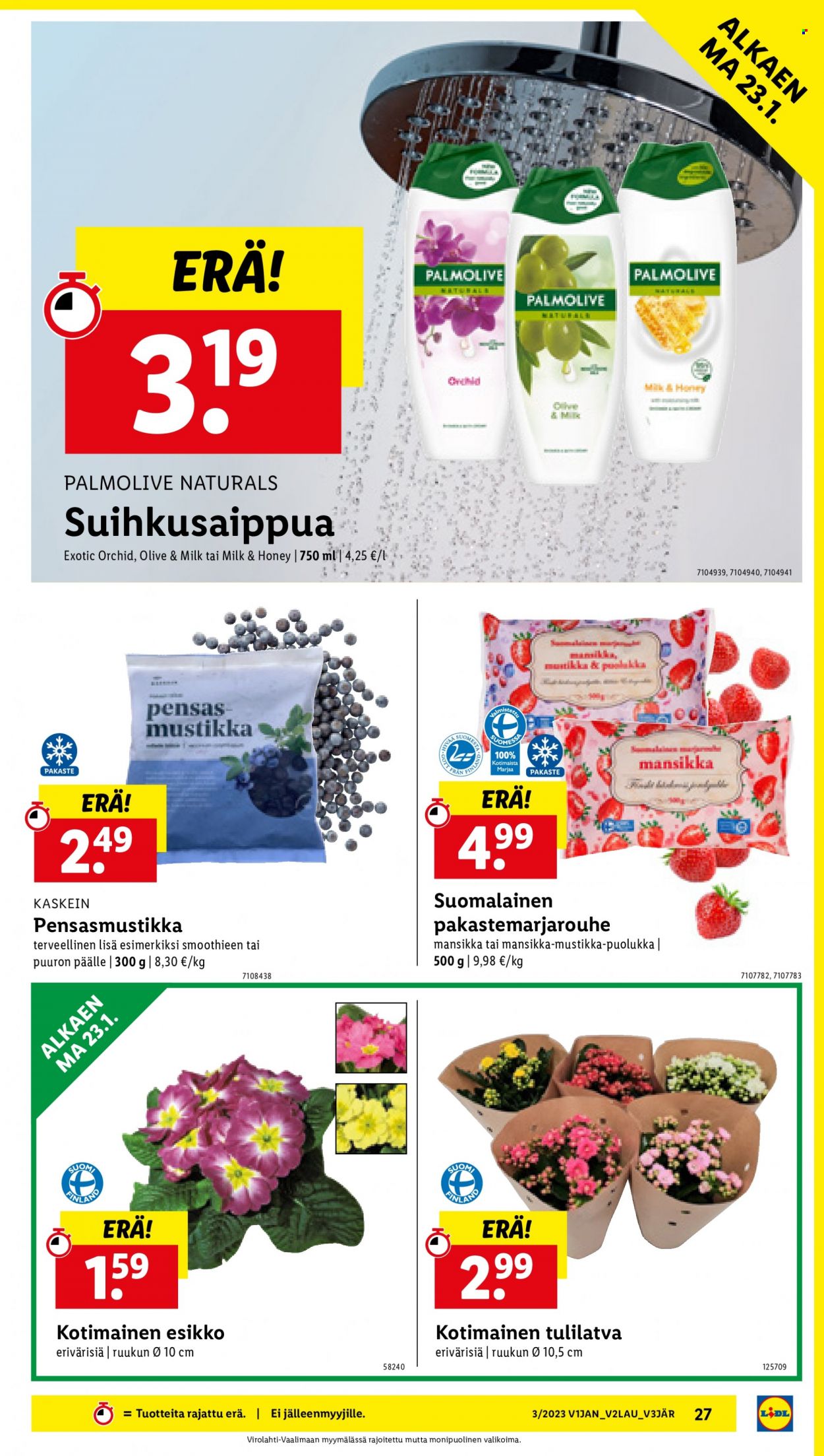 Lidl tarjoukset - 19.01.2023 - 25.01.2023. Sivu 27