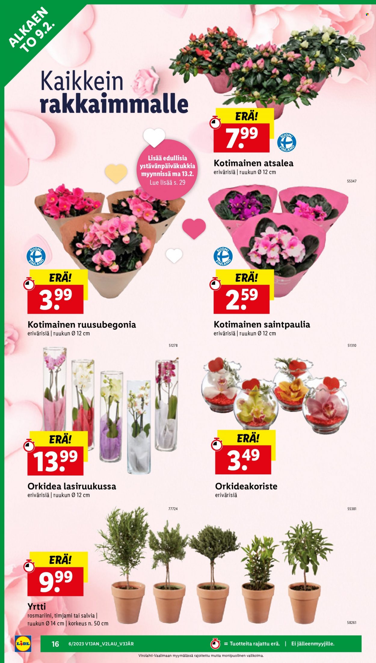 Lidl tarjoukset - 09.02.2023 - 15.02.2023. Sivu 16