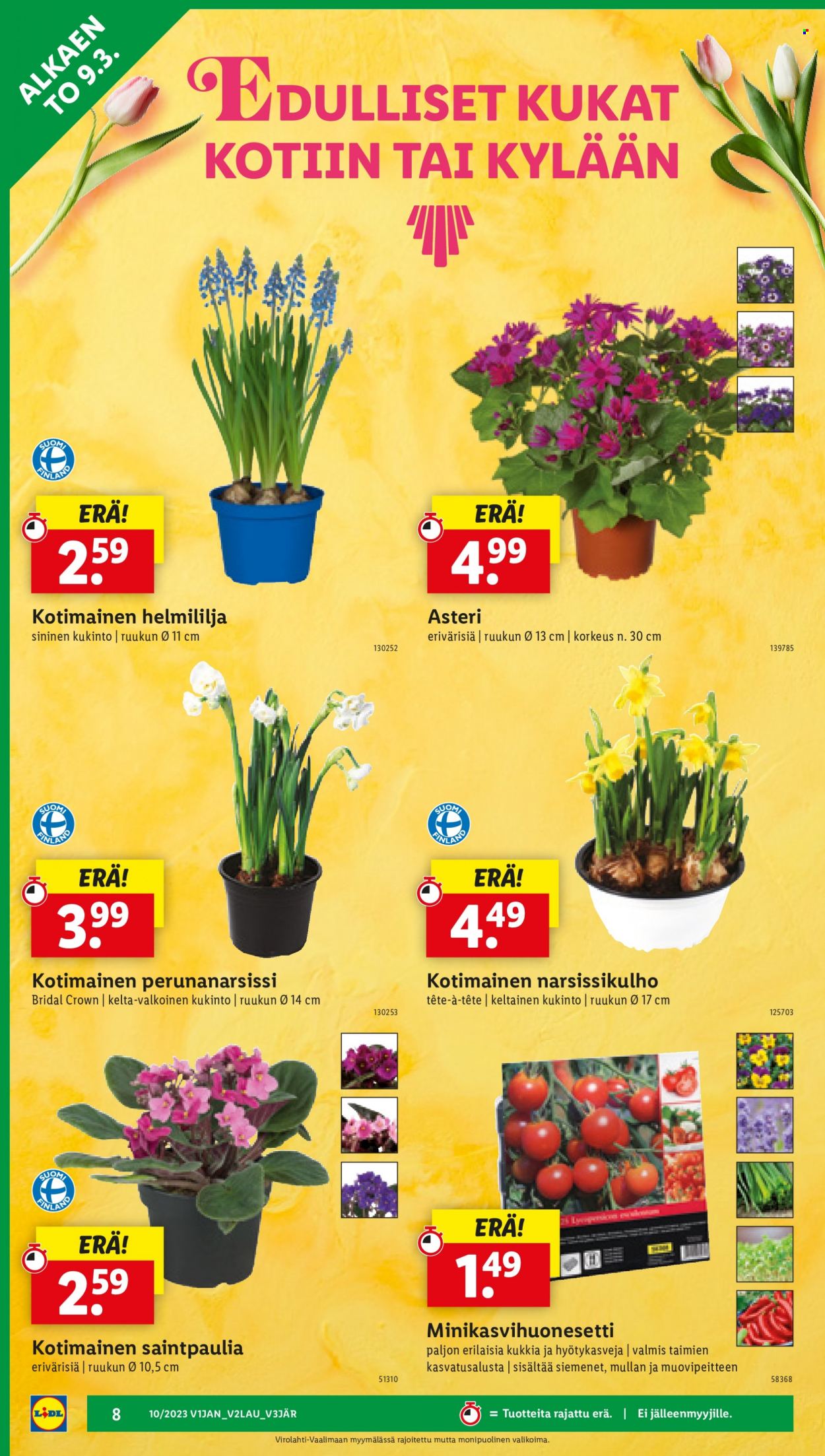 Lidl tarjoukset - 09.03.2023 - 15.03.2023. Sivu 10