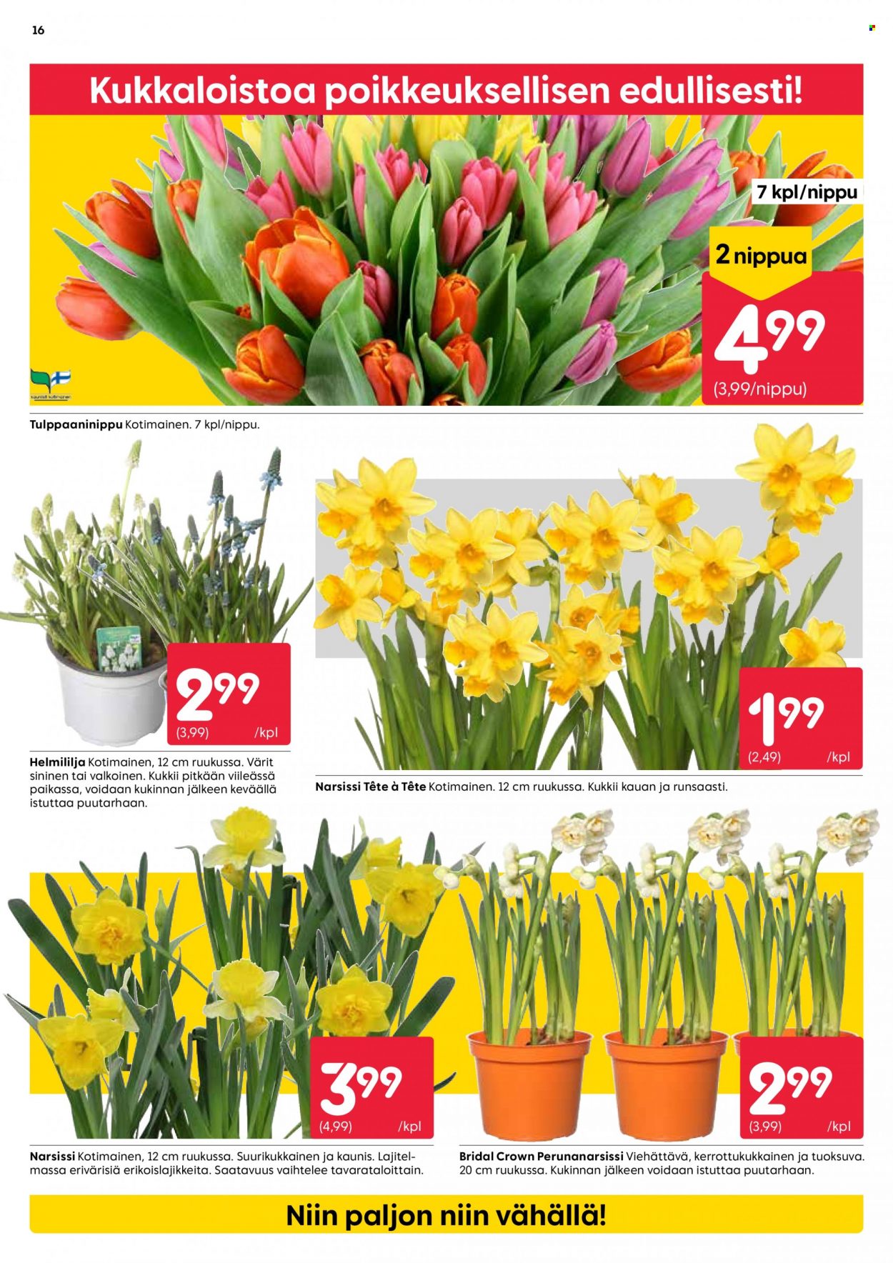 Rusta tarjoukset - 22.03.2023 - 28.03.2023. Sivu 16