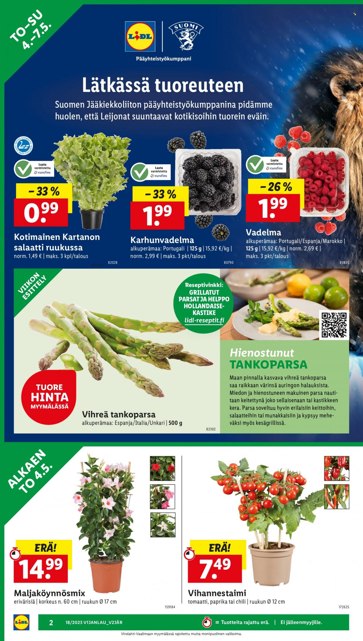 Lidl tarjoukset - 04.05.2023 - 10.05.2023. Sivu 4