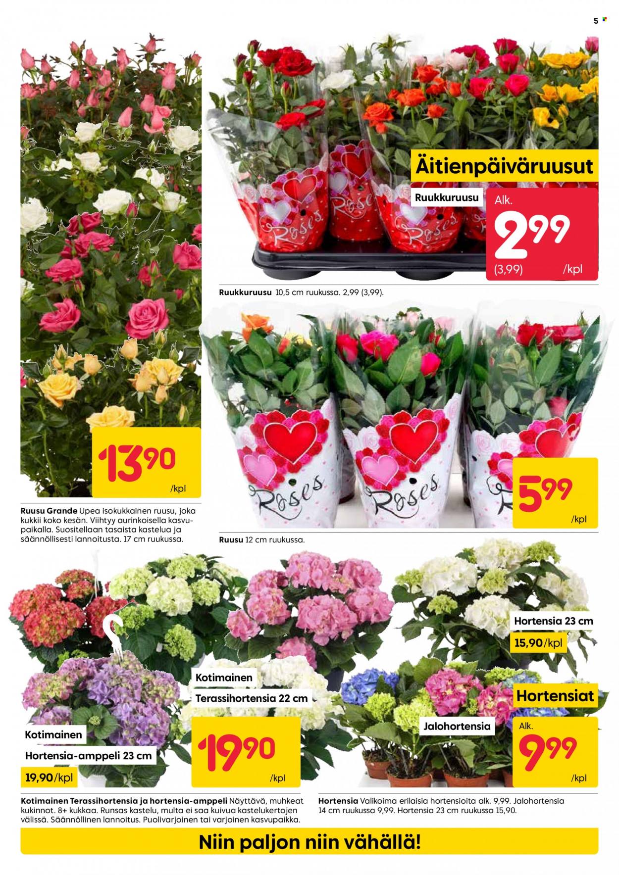 Rusta tarjoukset - 02.05.2023 - 07.05.2023. Sivu 5