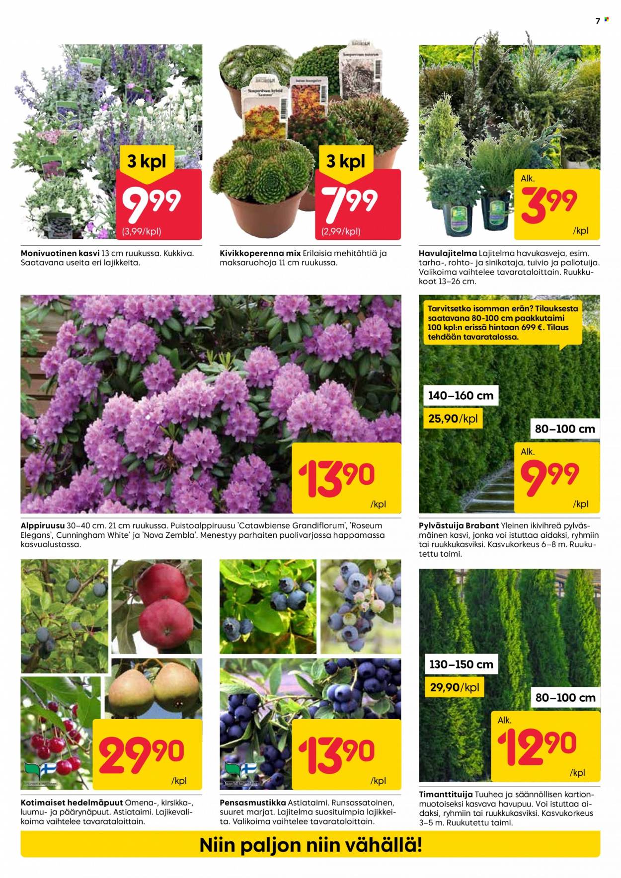 Rusta tarjoukset - 02.05.2023 - 07.05.2023. Sivu 7