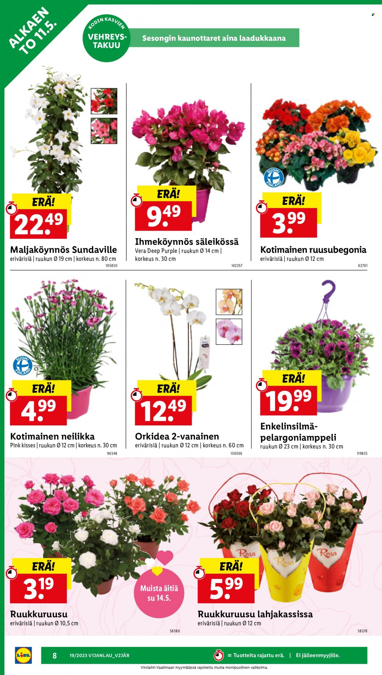 Lidl tarjoukset - 11.05.2023 - 16.05.2023. Sivu 10