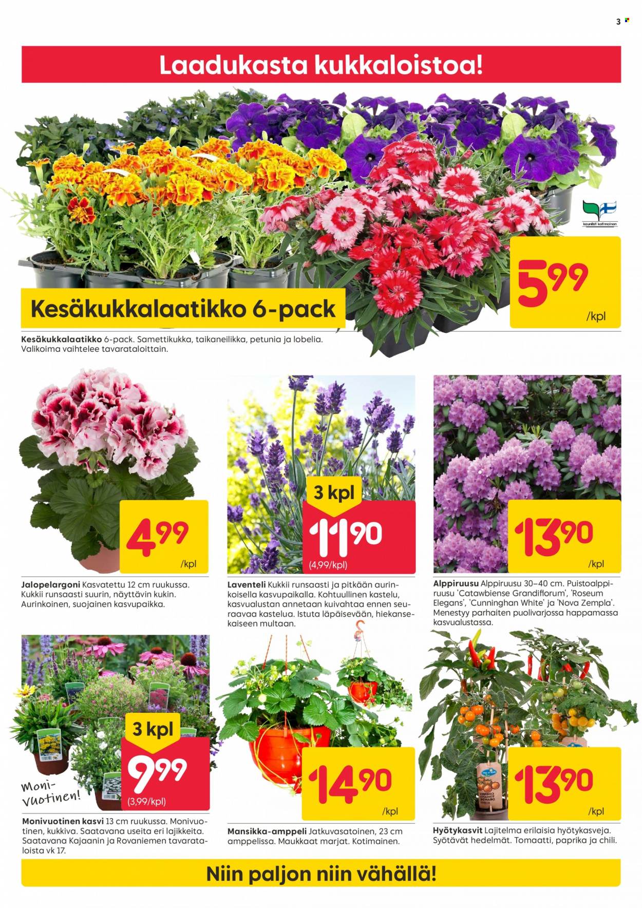 Rusta tarjoukset - 08.05.2023 - 14.05.2023. Sivu 3