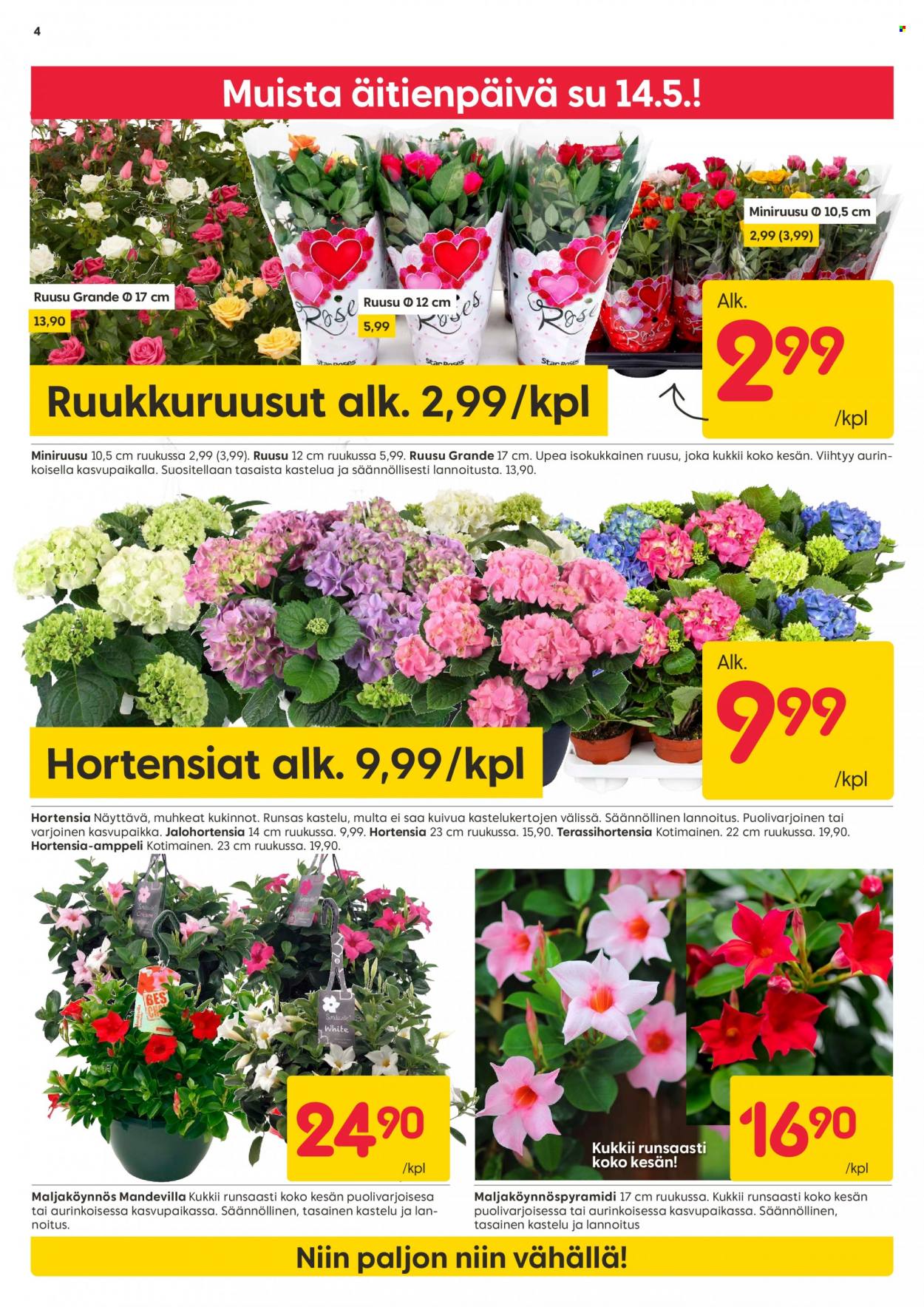 Rusta tarjoukset - 08.05.2023 - 14.05.2023. Sivu 4