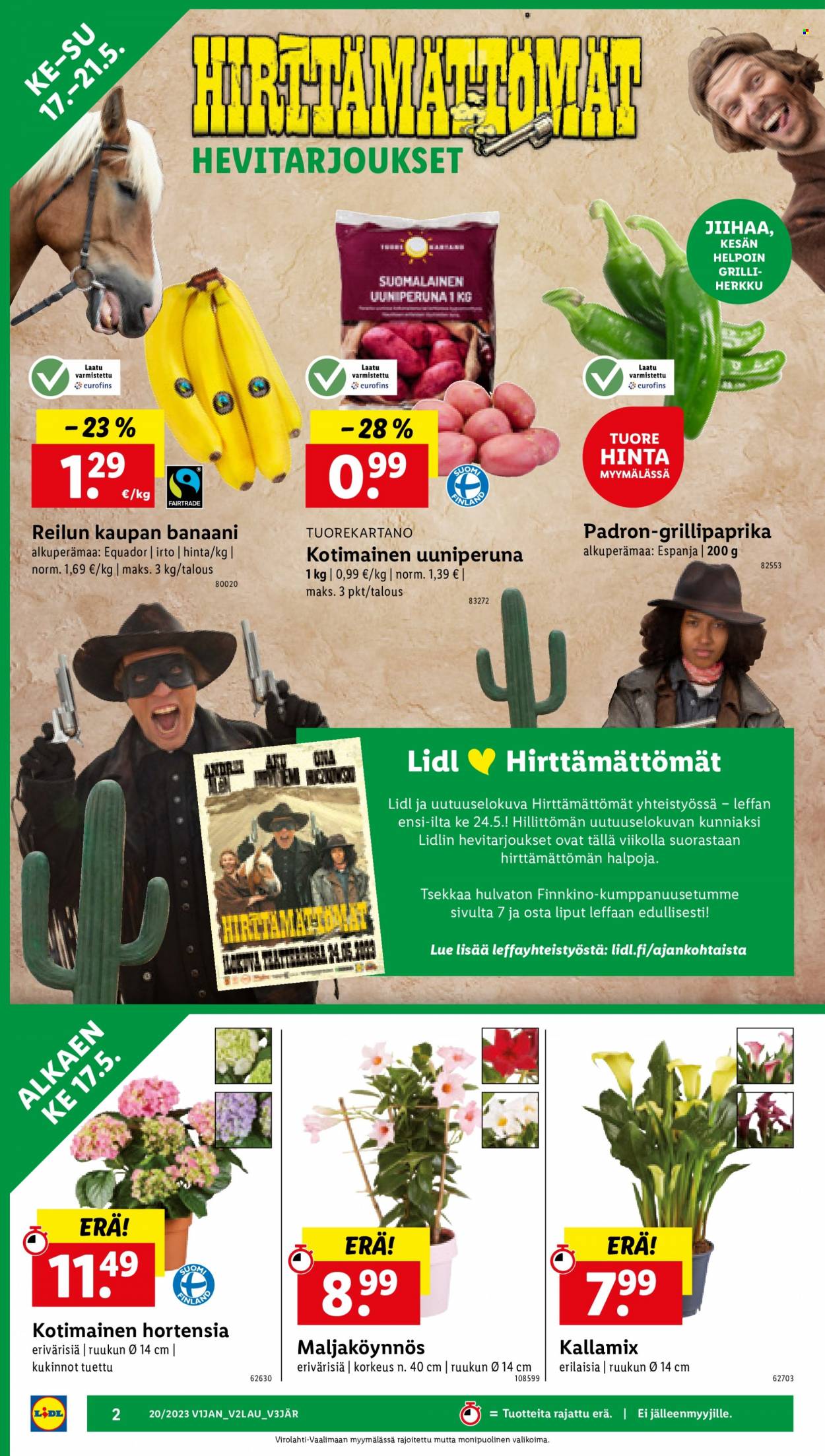 Lidl tarjoukset - 17.05.2023 - 24.05.2023. Sivu 4