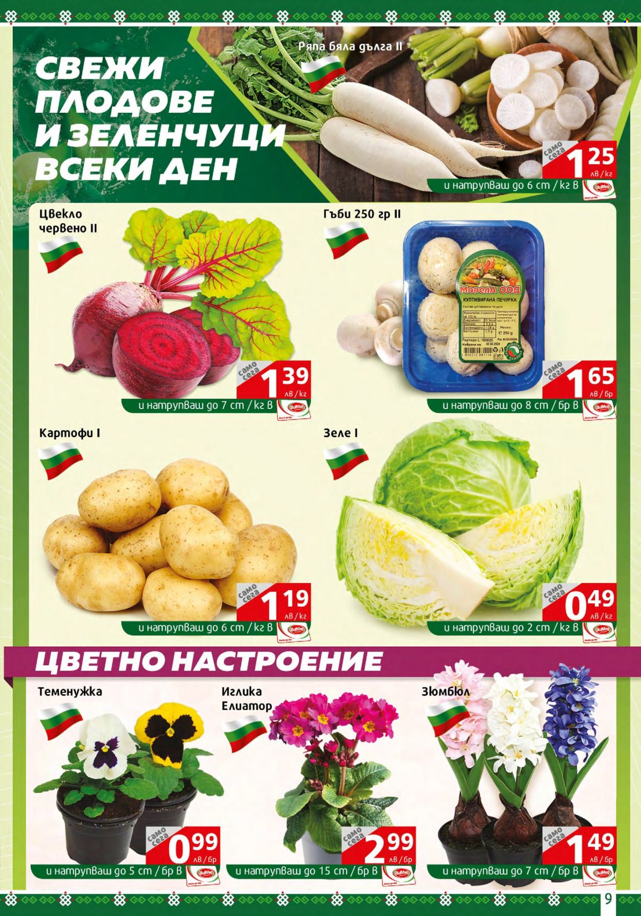 Брошура на BulMag - 27.02.2023 - 05.03.2023. Страница 9