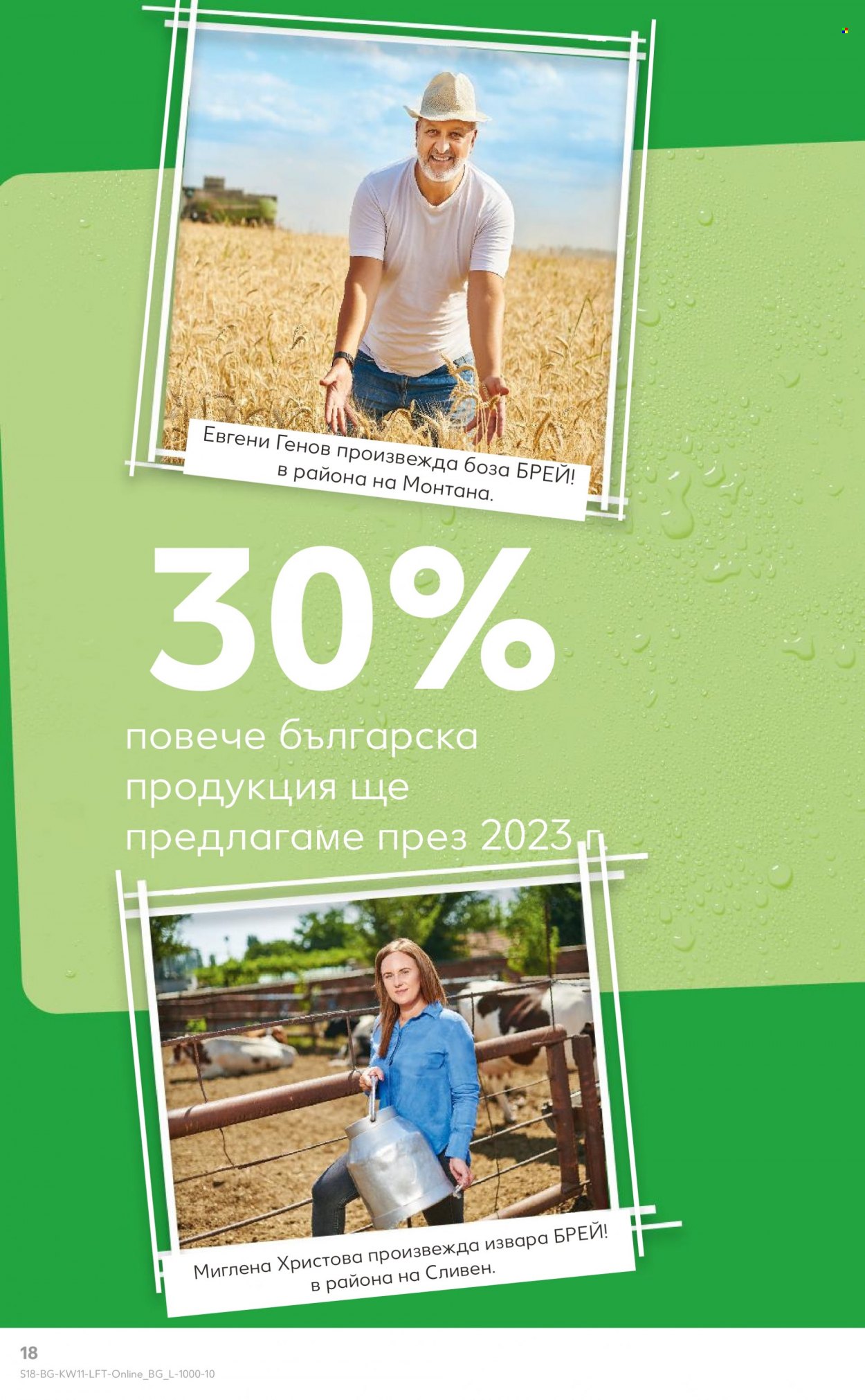Брошура на Кауфланд - 13.03.2023 - 19.03.2023. Страница 18