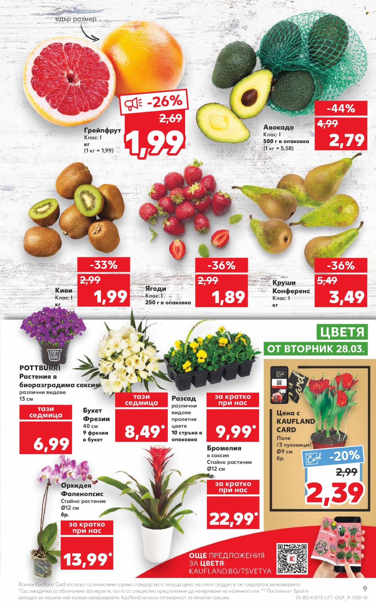 thumbnail - Брошура на Кауфланд - 27.03.2023 - 02.04.2023 - Продавани продукти - авокадо, грейпфрут, киви, круши, бромелия, пролетни цветя, фрезии, орхидея. Страница 9.