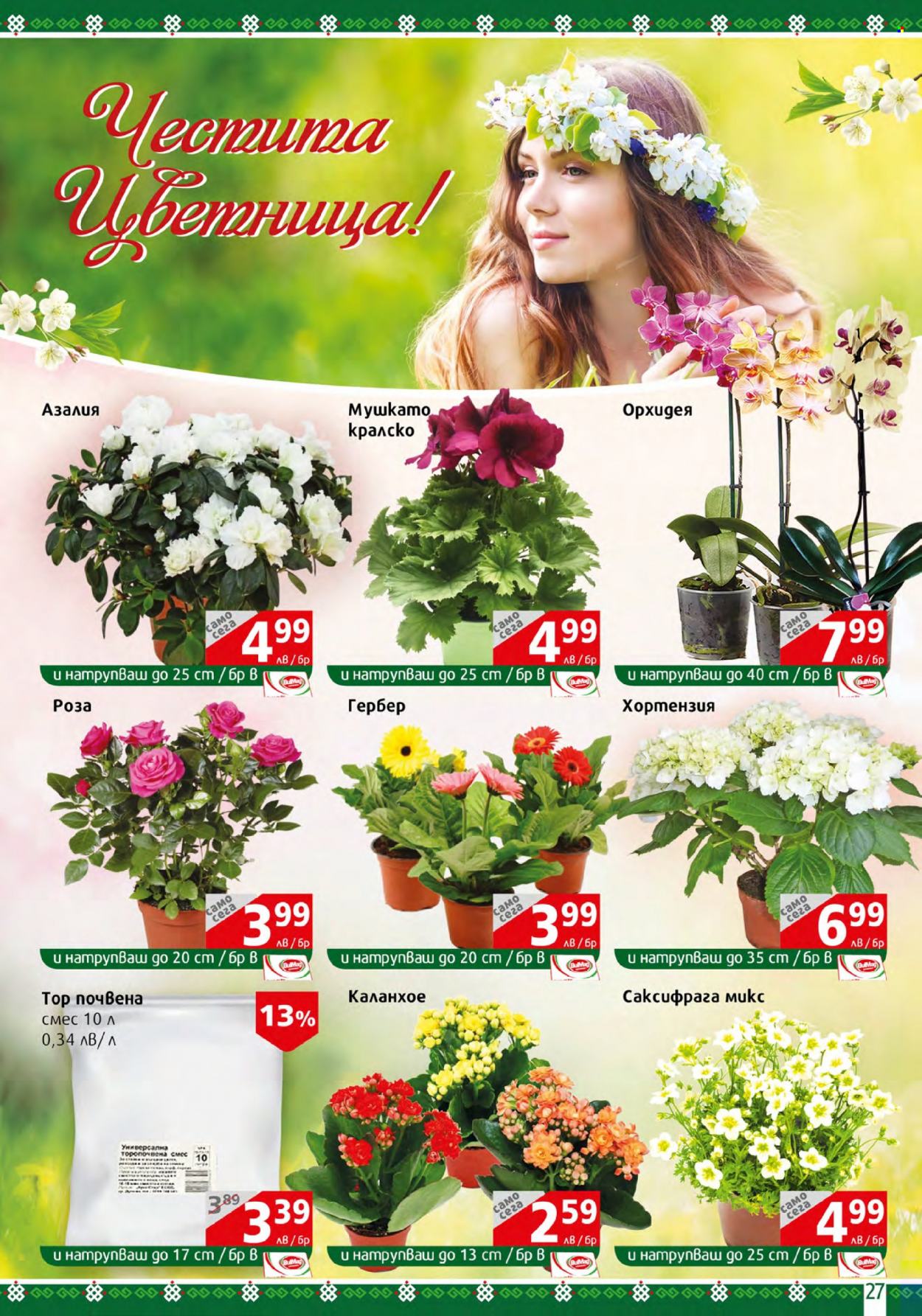 Брошура на BulMag - 03.04.2023 - 09.04.2023. Страница 27