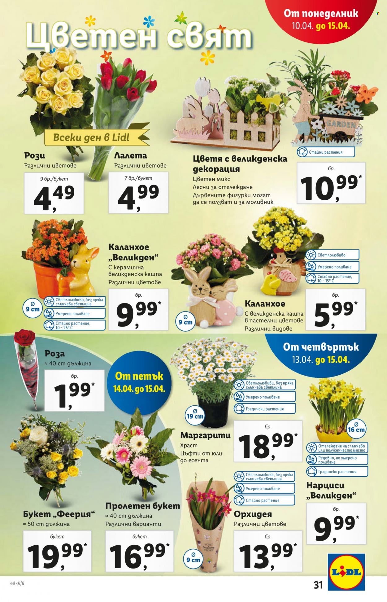 Брошура на Лидл - 10.04.2023 - 15.04.2023. Страница 31