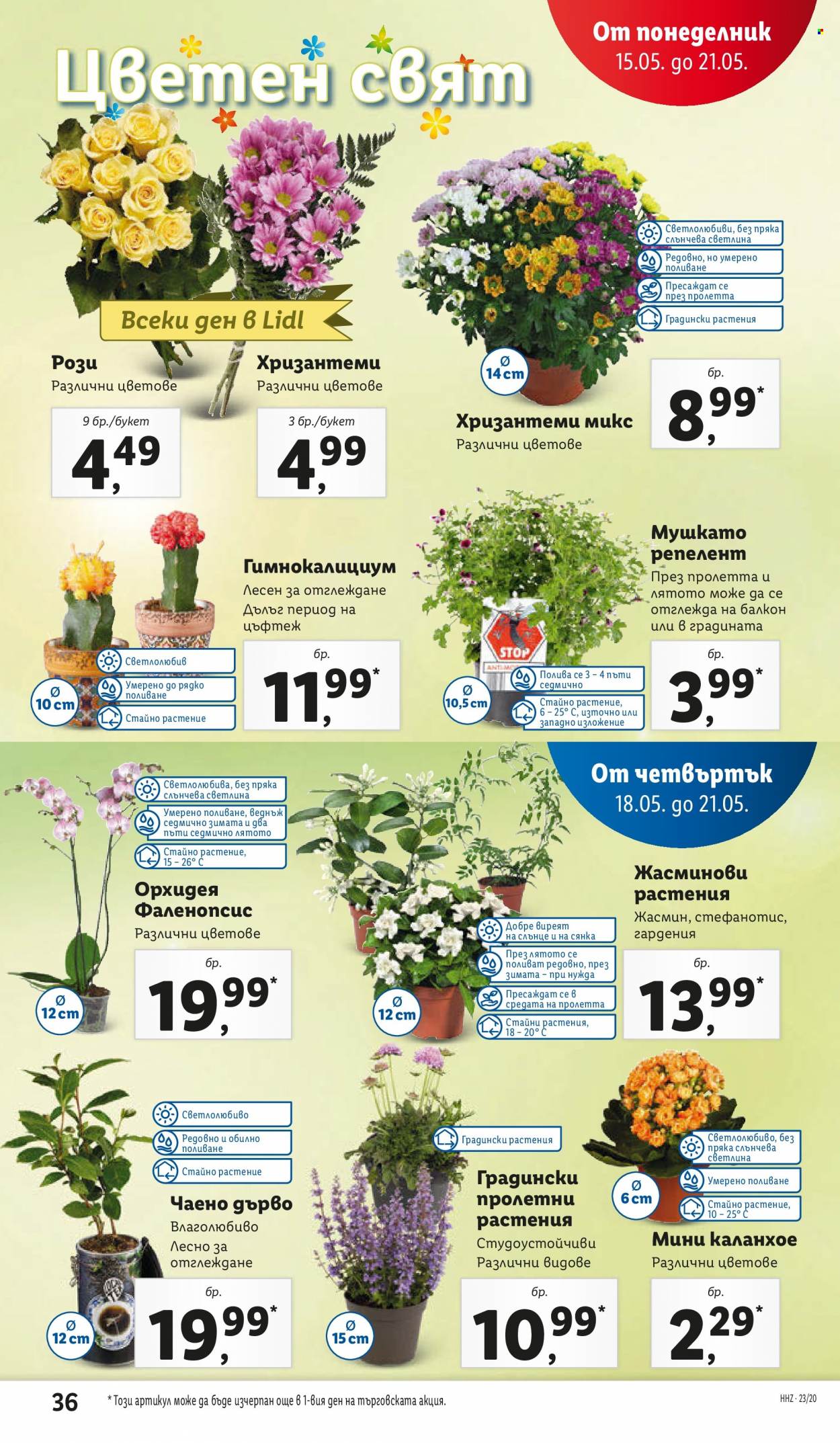 Брошура на Лидл - 15.05.2023 - 21.05.2023. Страница 36