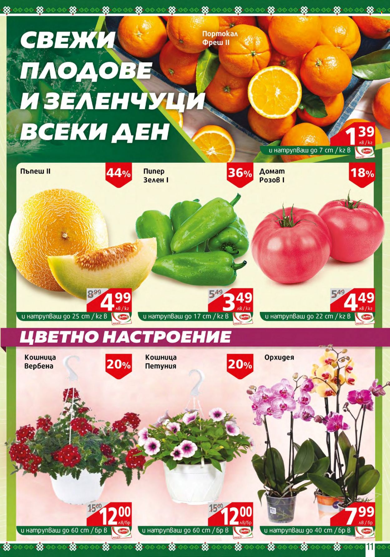 Брошура на BulMag - 15.05.2023 - 21.05.2023. Страница 11