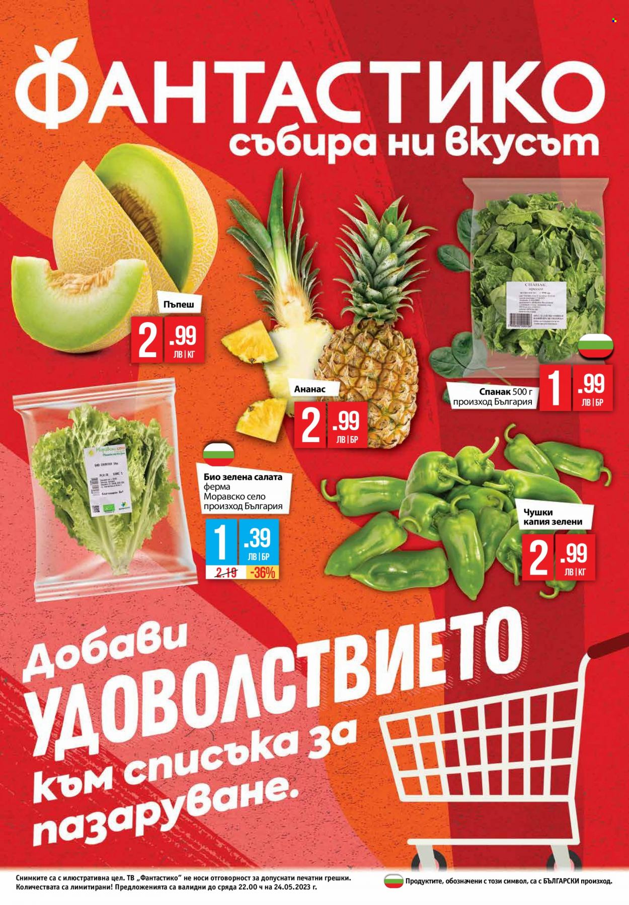 Брошура на Фантастико - 18.05.2023 - 24.05.2023. Страница 24