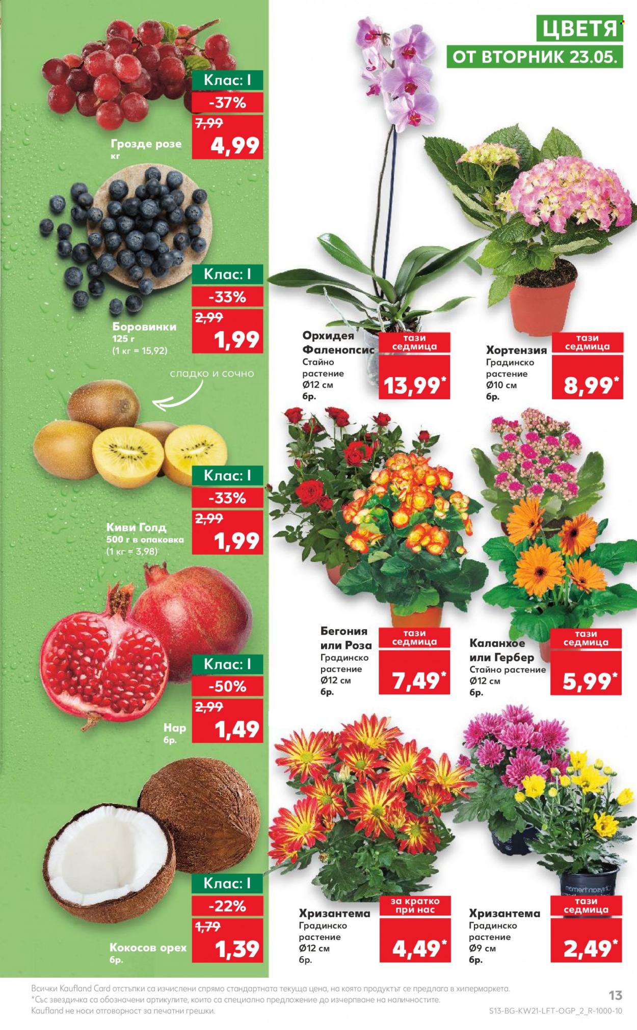 thumbnail - Брошура на Кауфланд - 22.05.2023 - 28.05.2023 - Продавани продукти - боровинки, киви, грозде, Гербер, каланхое, орхидея. Страница 13.