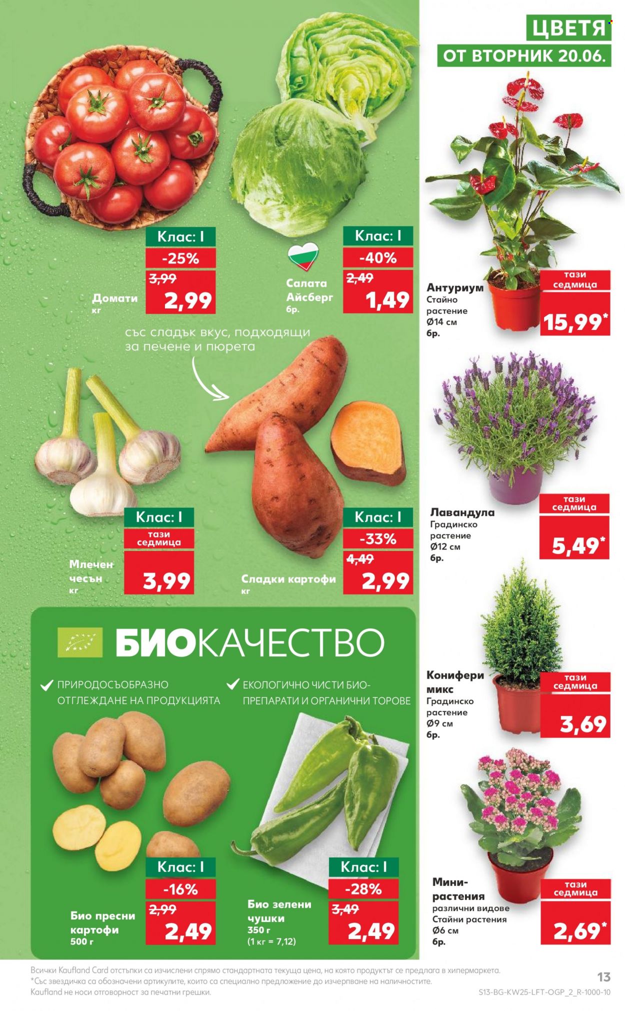 Брошура на Кауфланд - 19.06.2023 - 25.06.2023. Страница 13