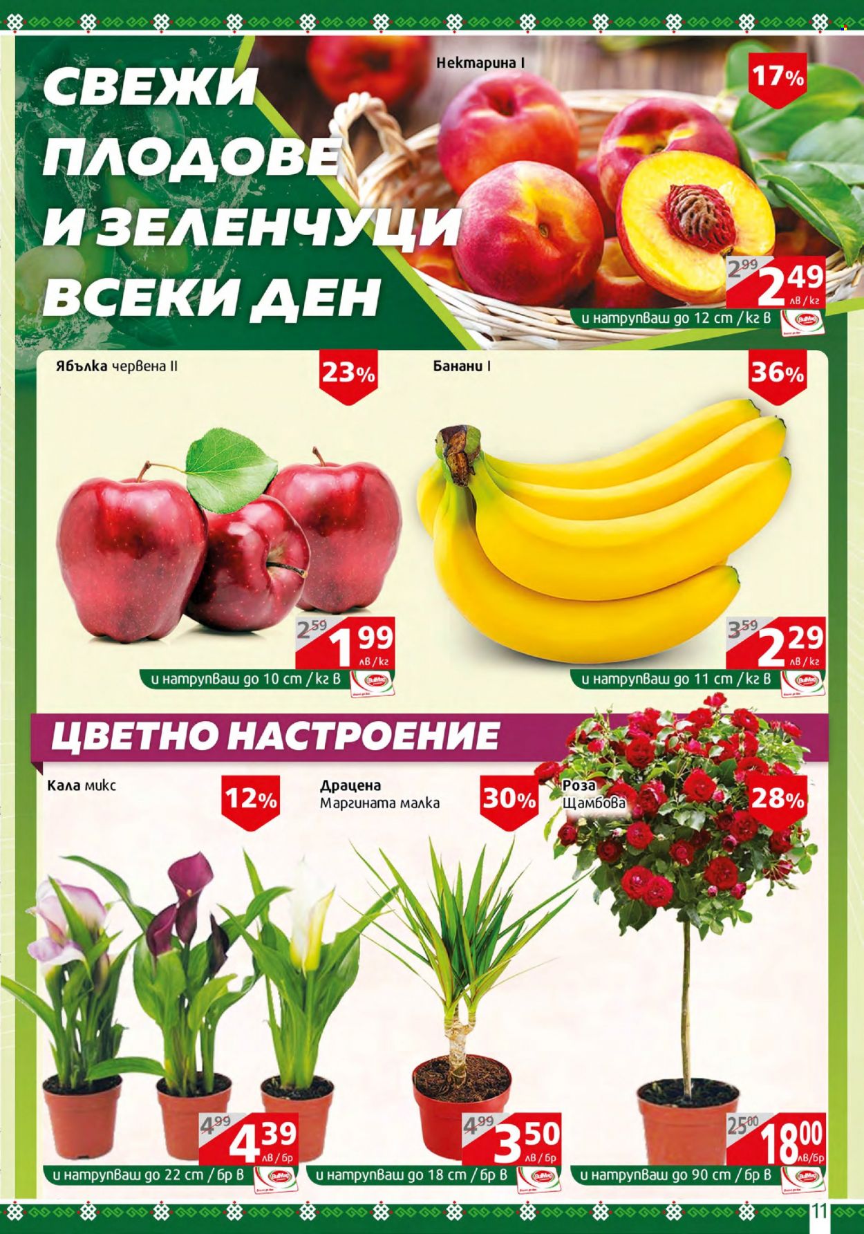 Брошура на BulMag - 10.07.2023 - 16.07.2023. Страница 11