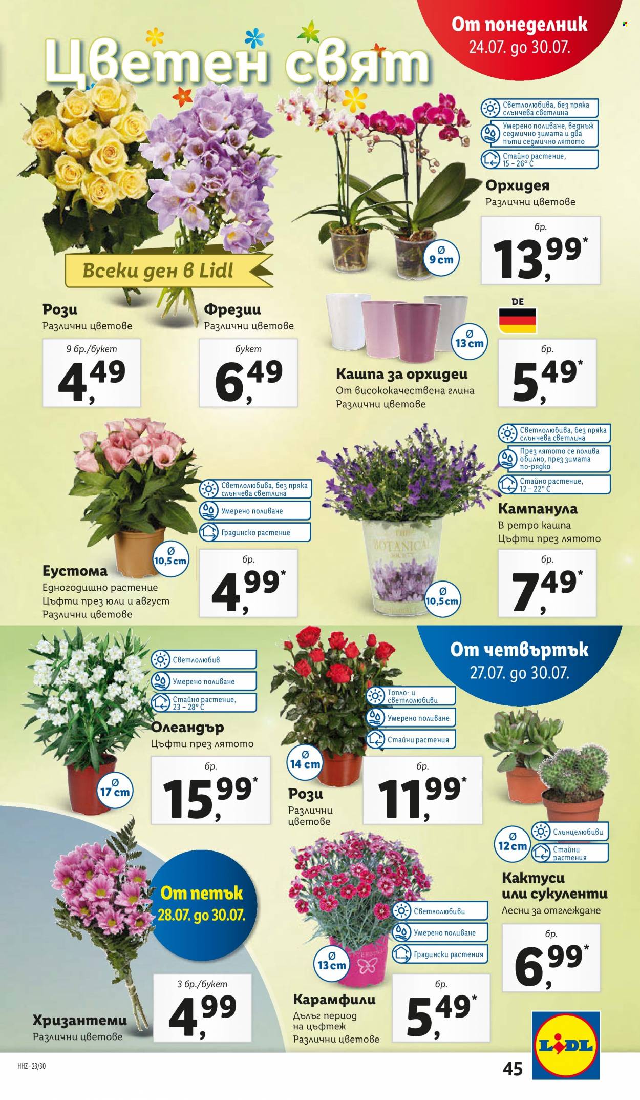 Брошура на Лидл - 24.07.2023 - 30.07.2023. Страница 45