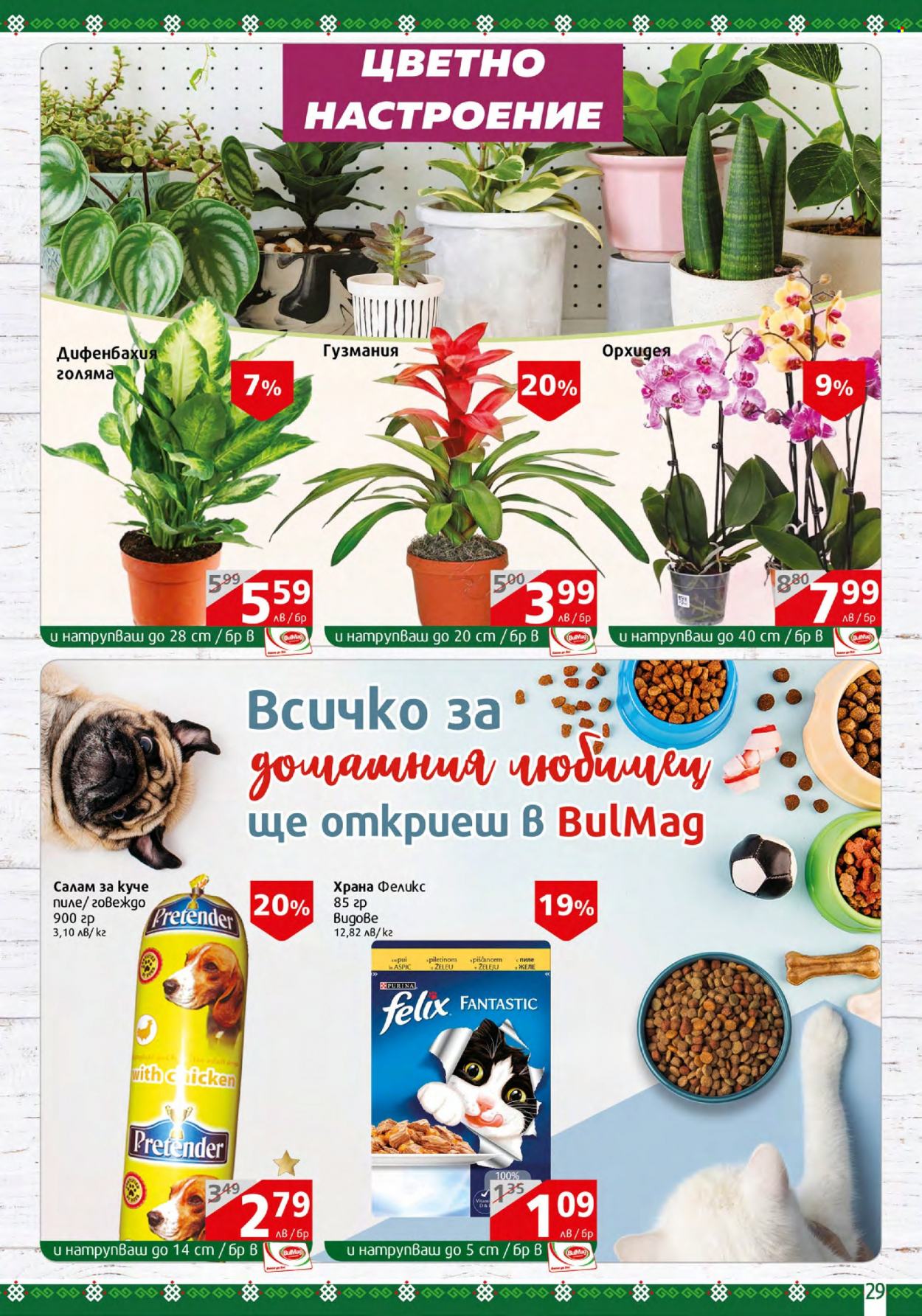 Брошура на BulMag - 31.07.2023 - 06.08.2023. Страница 29