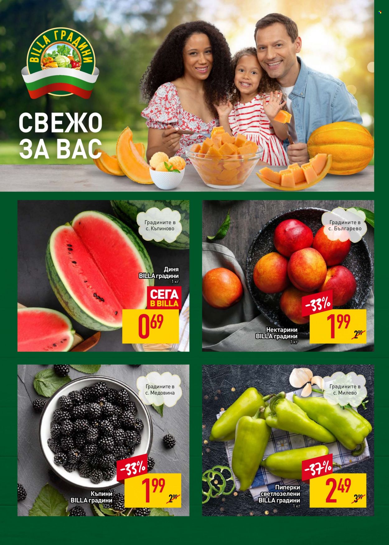 Брошура на BILLA - 10.08.2023 - 16.08.2023. Страница 4