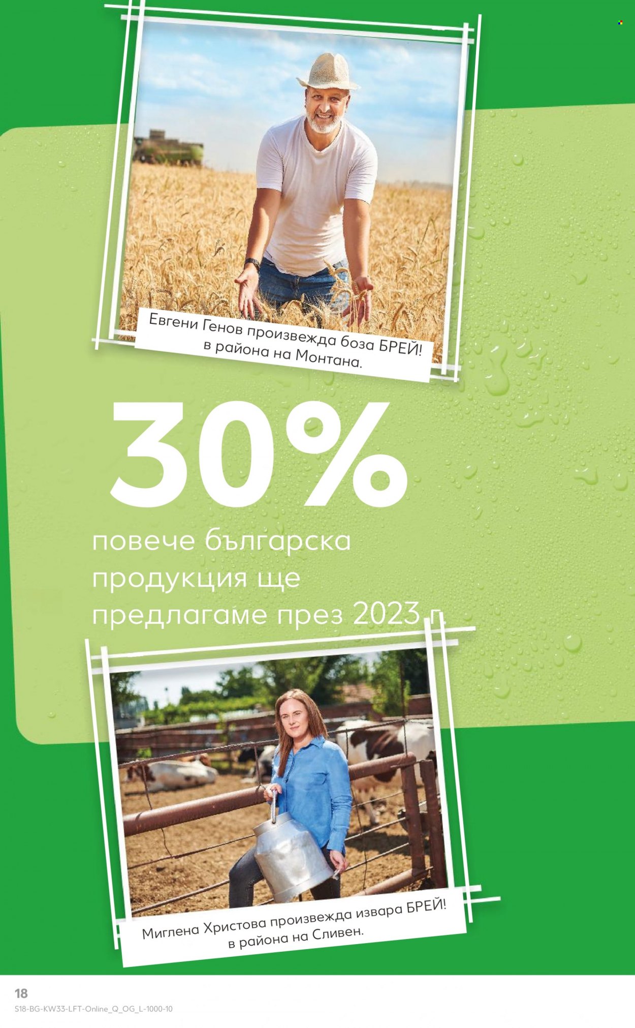 Брошура на Кауфланд - 14.08.2023 - 20.08.2023. Страница 18