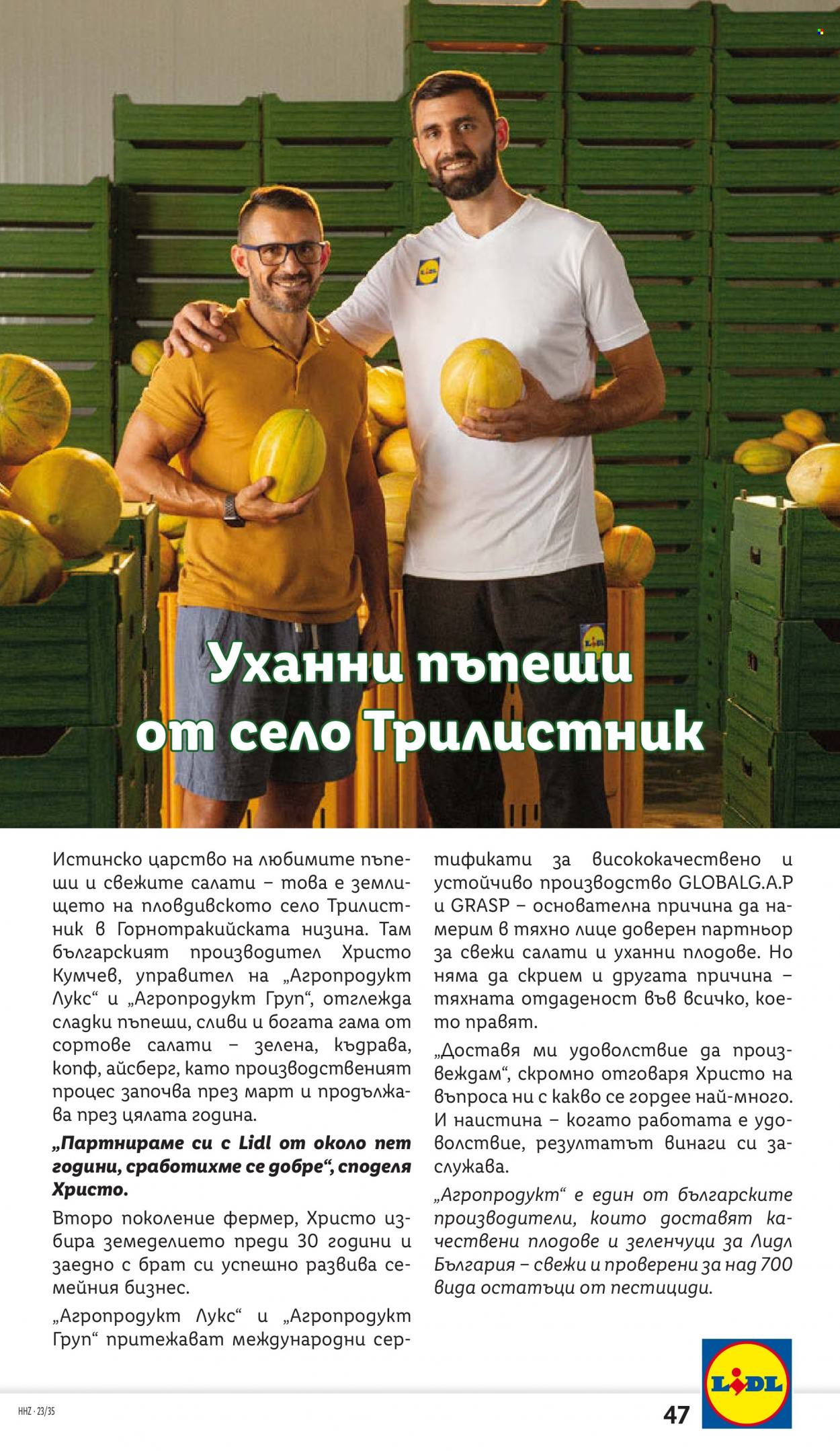 Брошура на Лидл - 28.08.2023 - 03.09.2023. Страница 47