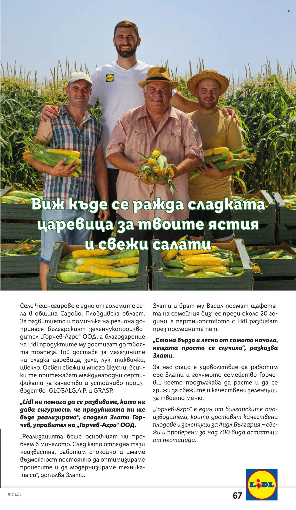 Брошура на Лидл - 04.09.2023 - 10.09.2023. Страница 69
