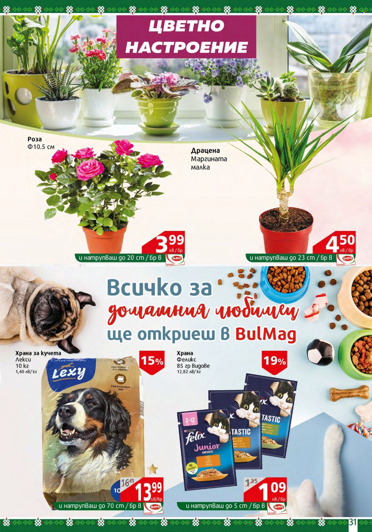 Брошура на BulMag - 09.10.2023 - 15.10.2023. Страница 31