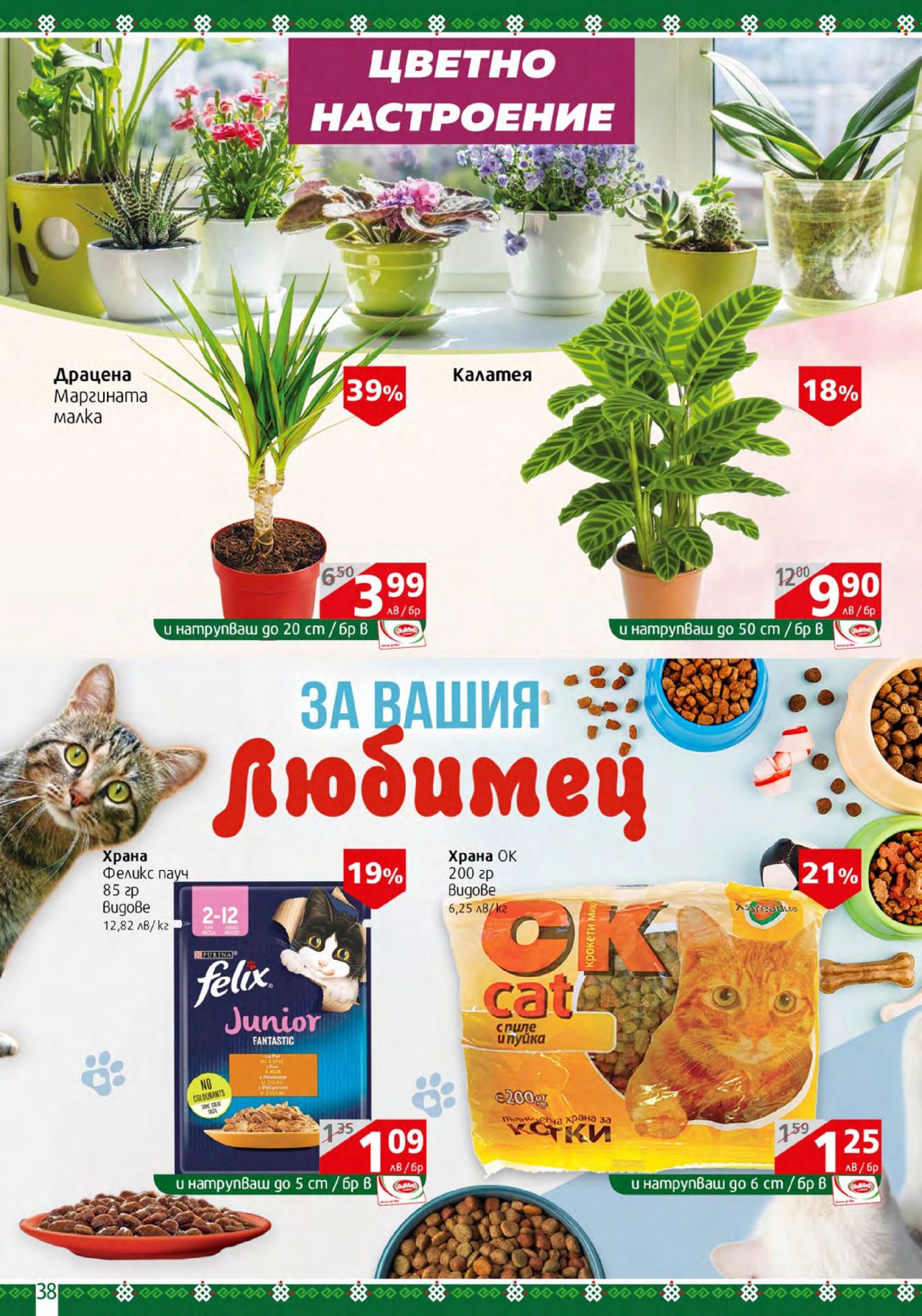 Брошура на BulMag - 13.11.2023 - 19.11.2023. Страница 38