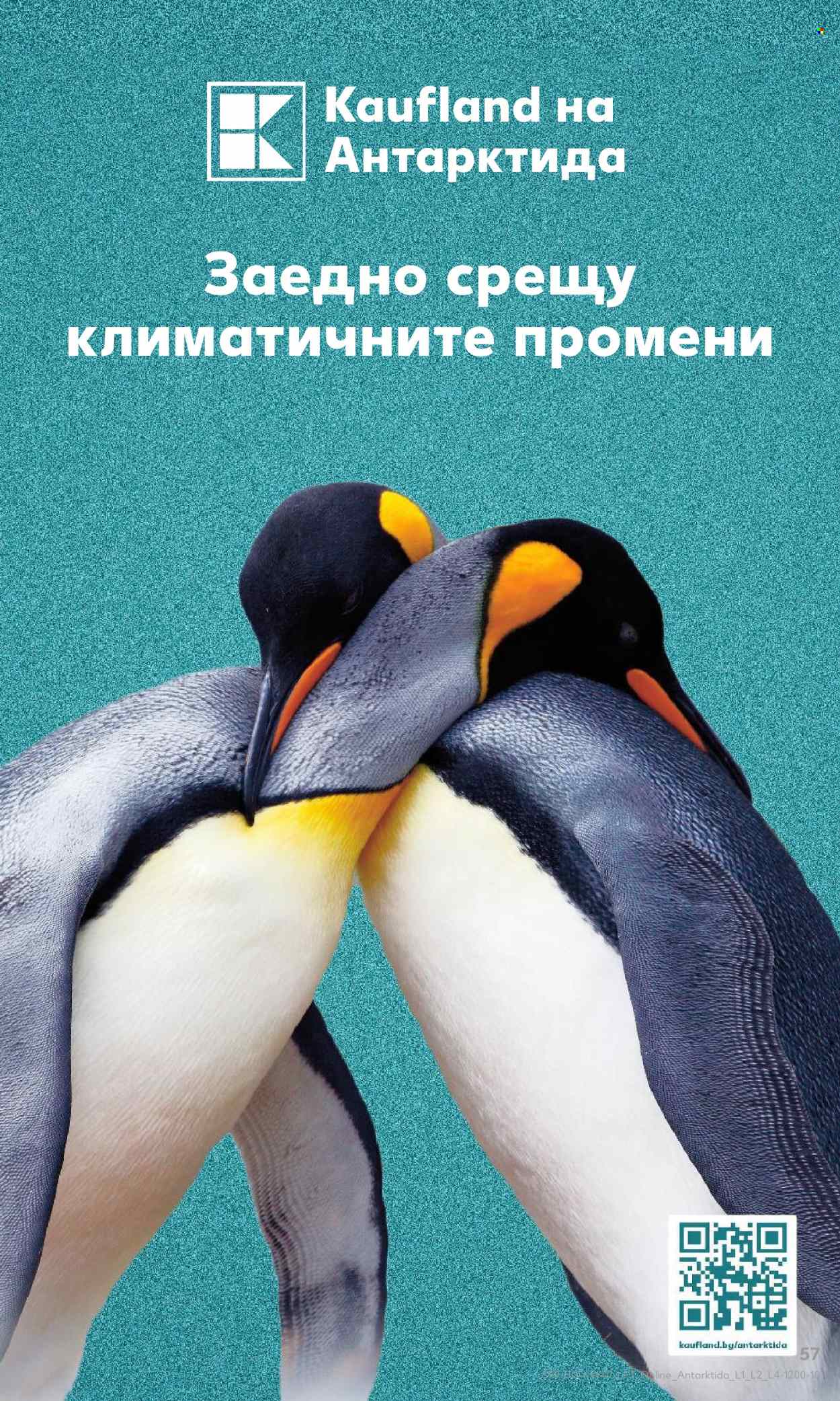 Брошура на Кауфланд - 20.11.2023 - 26.11.2023. Страница 57