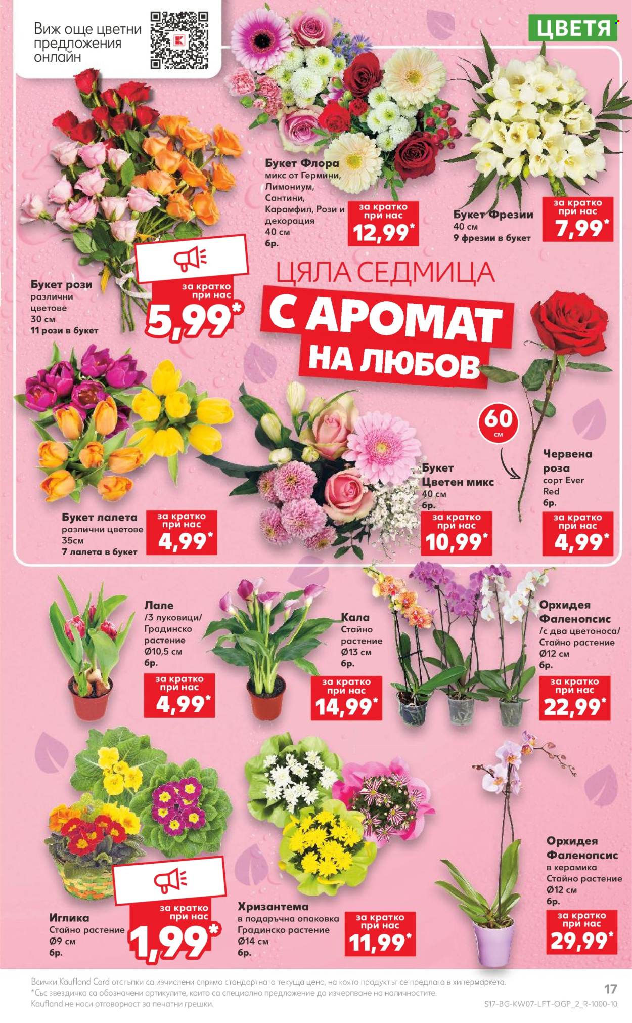Брошура на Кауфланд - 12.02.2024 - 18.02.2024. Страница 17