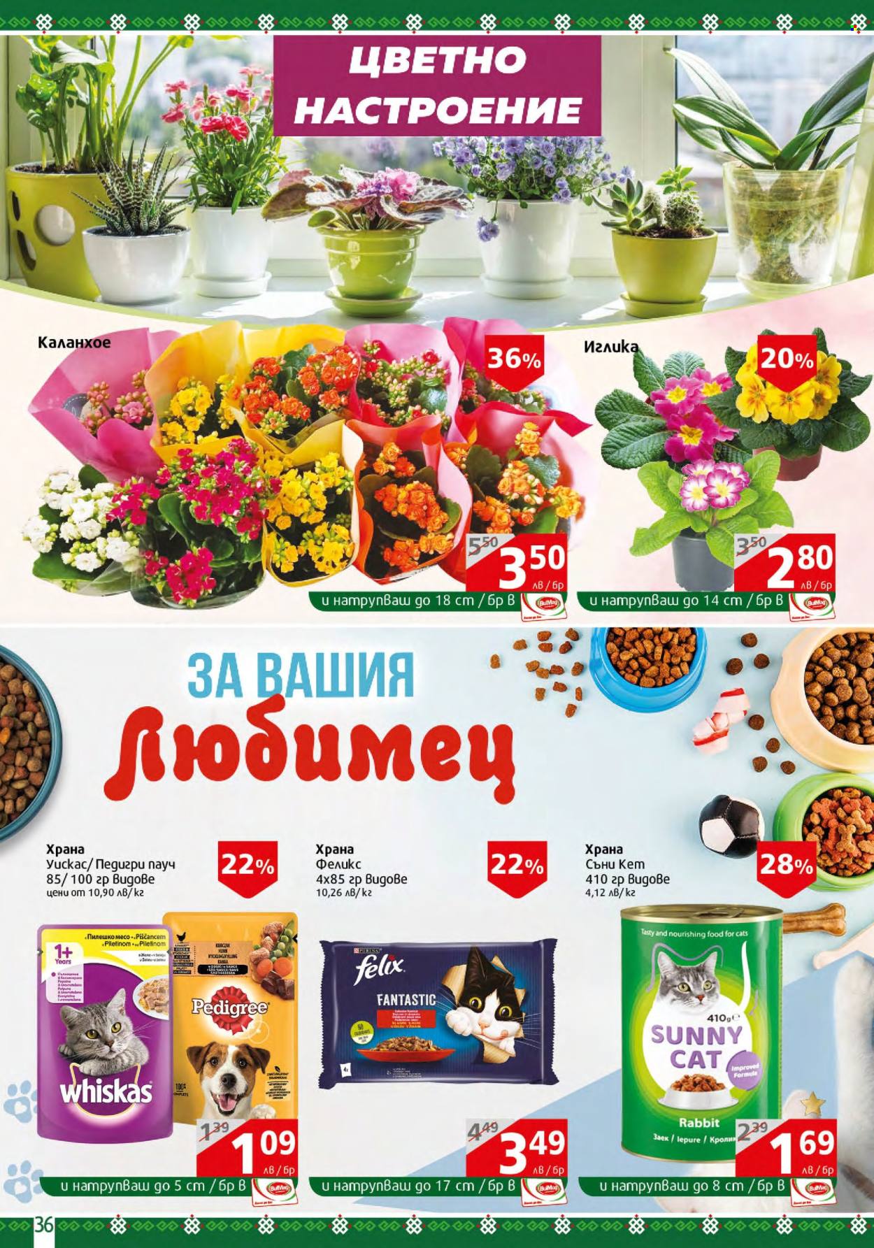 Брошура на BulMag - 19.02.2024 - 25.02.2024. Страница 36