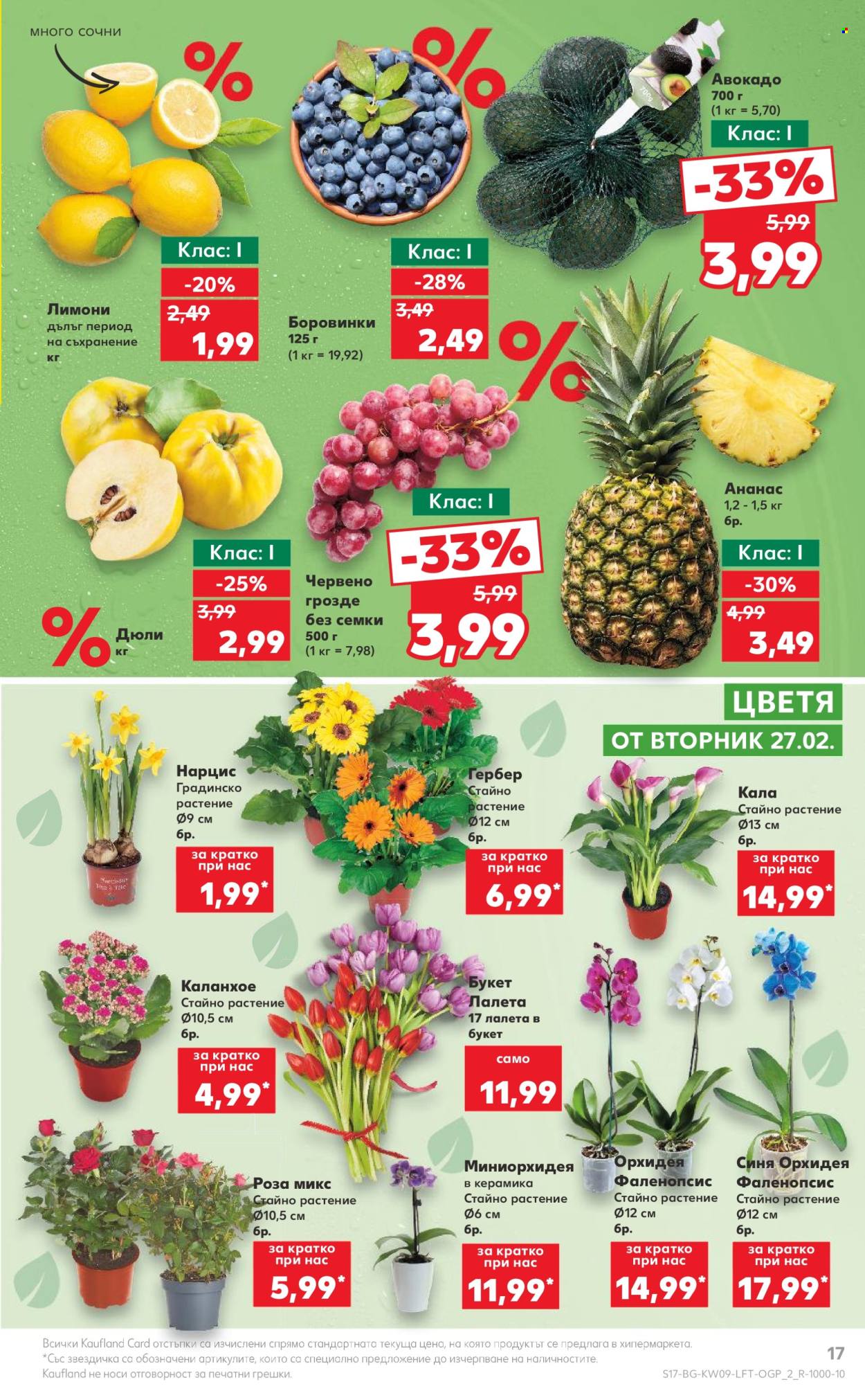 Брошура на Кауфланд - 26.02.2024 - 03.03.2024. Страница 17
