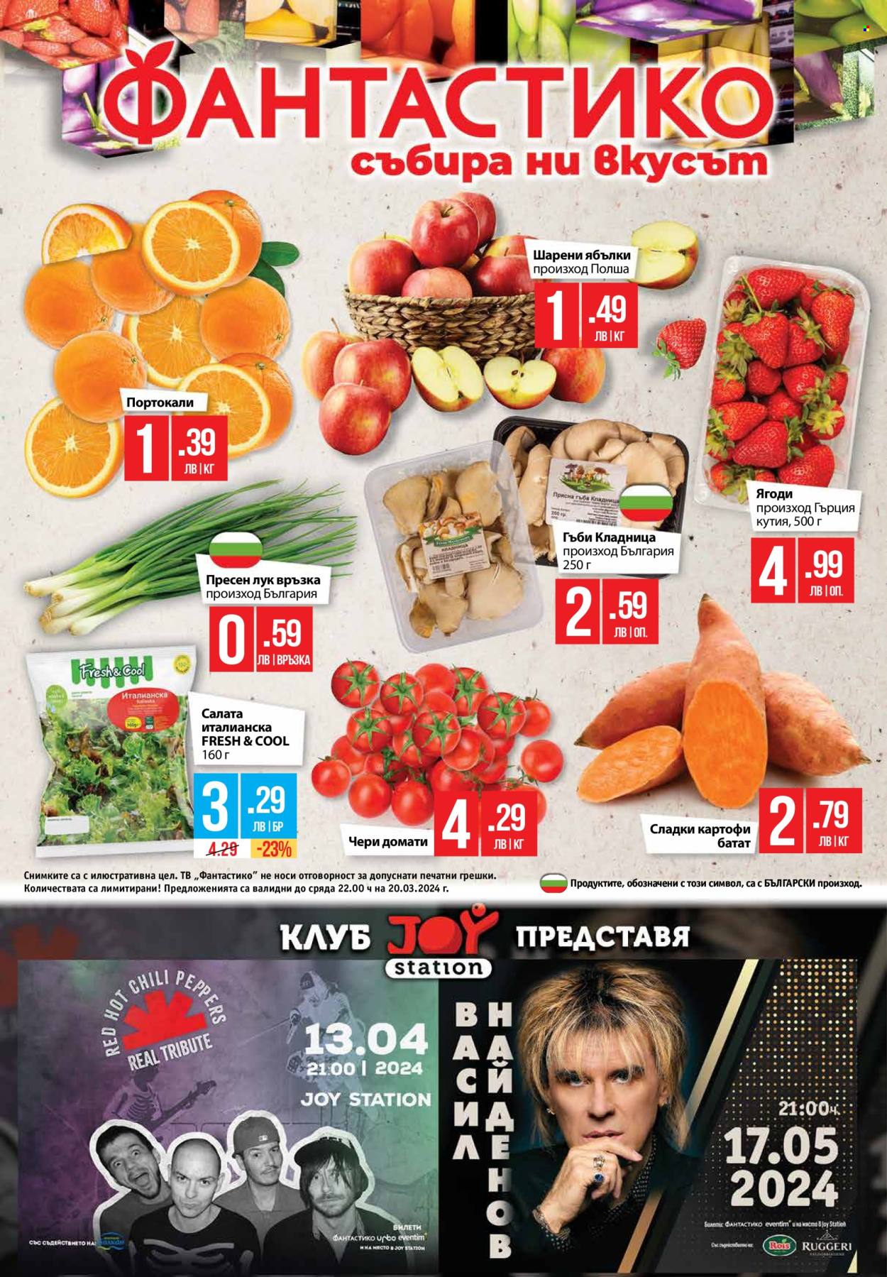 Брошура на Фантастико - 14.03.2024 - 20.03.2024. Страница 32
