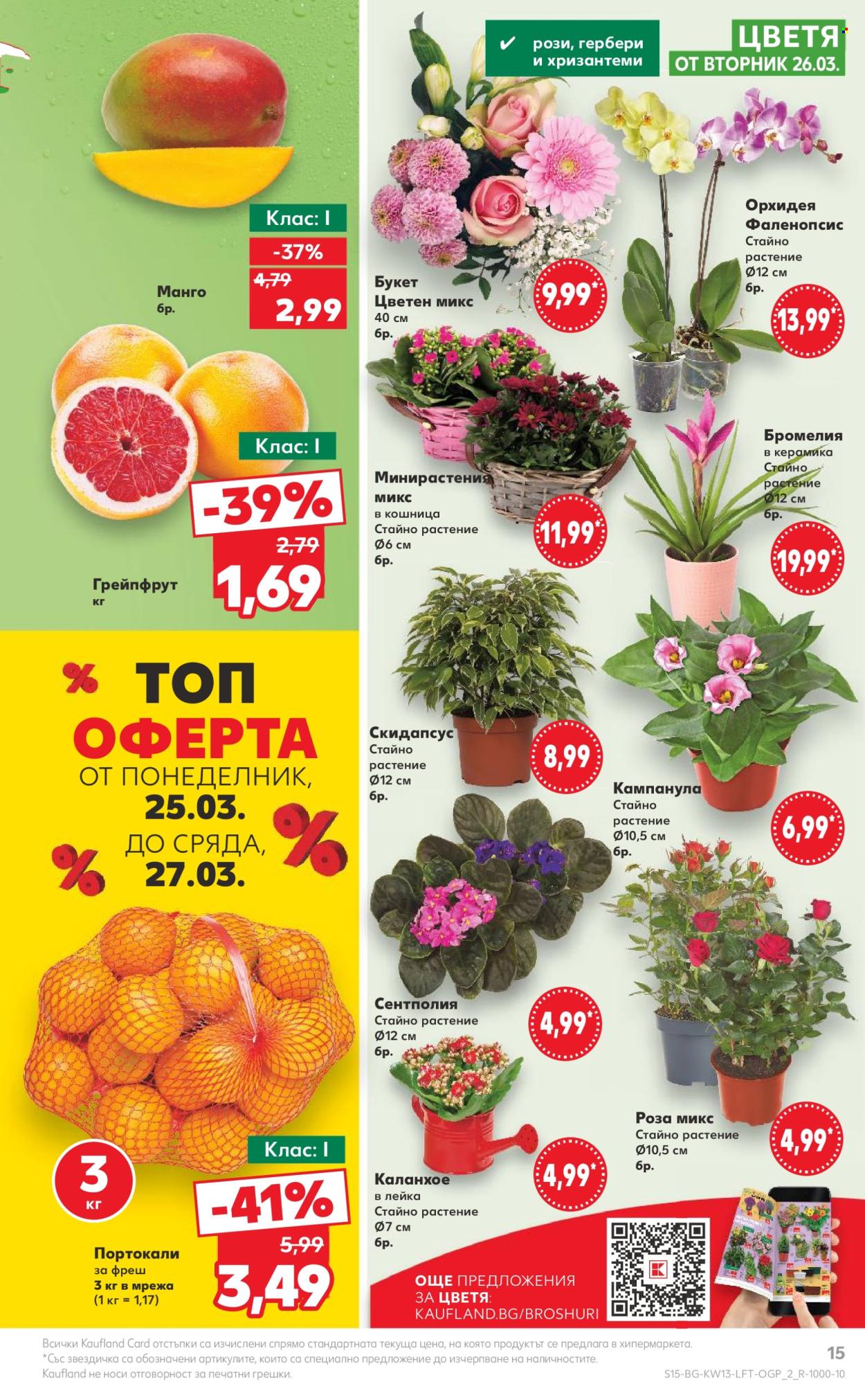 Брошура на Кауфланд - 25.03.2024 - 31.03.2024. Страница 15
