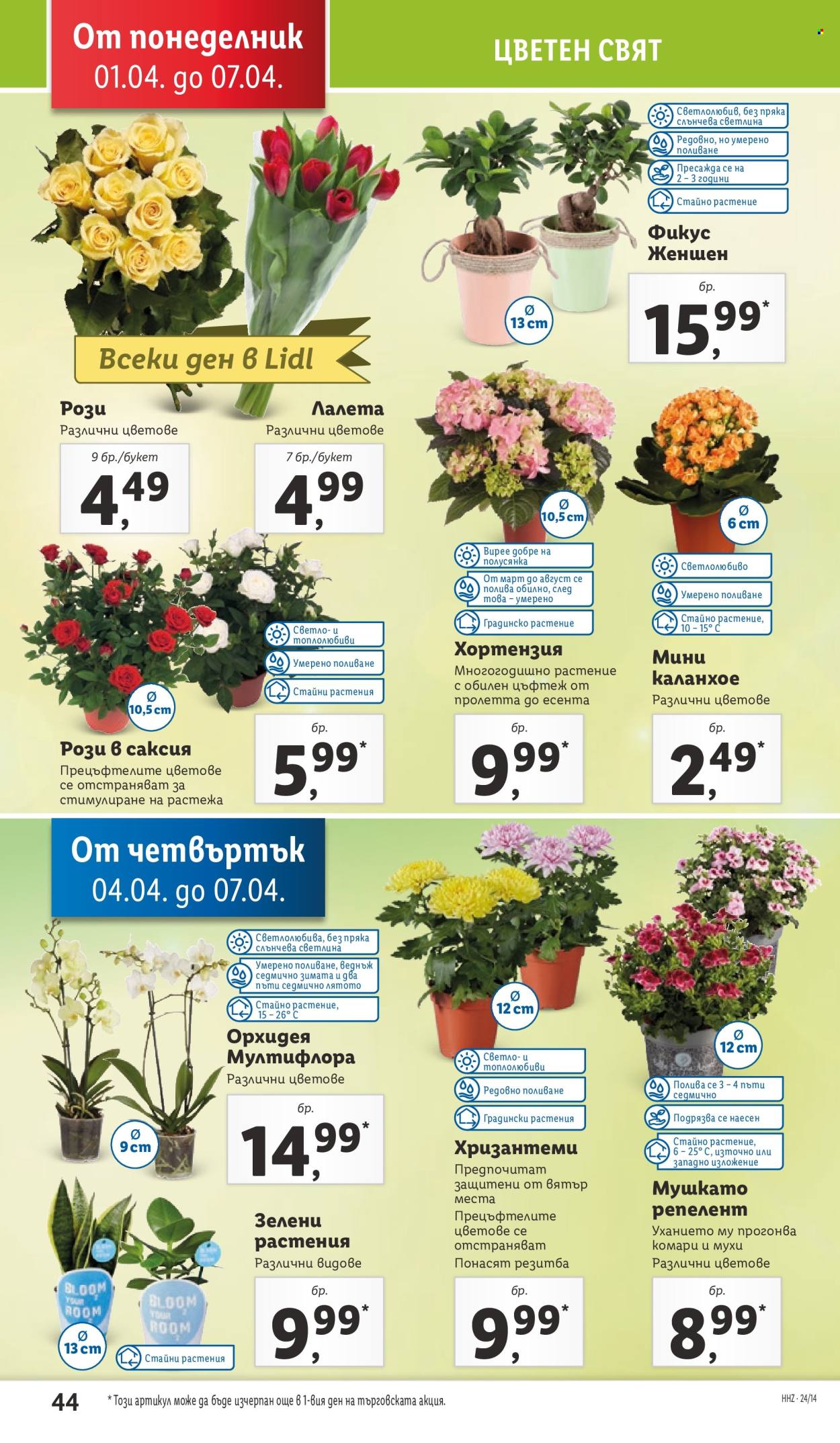 Брошура на Лидл - 01.04.2024 - 07.04.2024. Страница 44